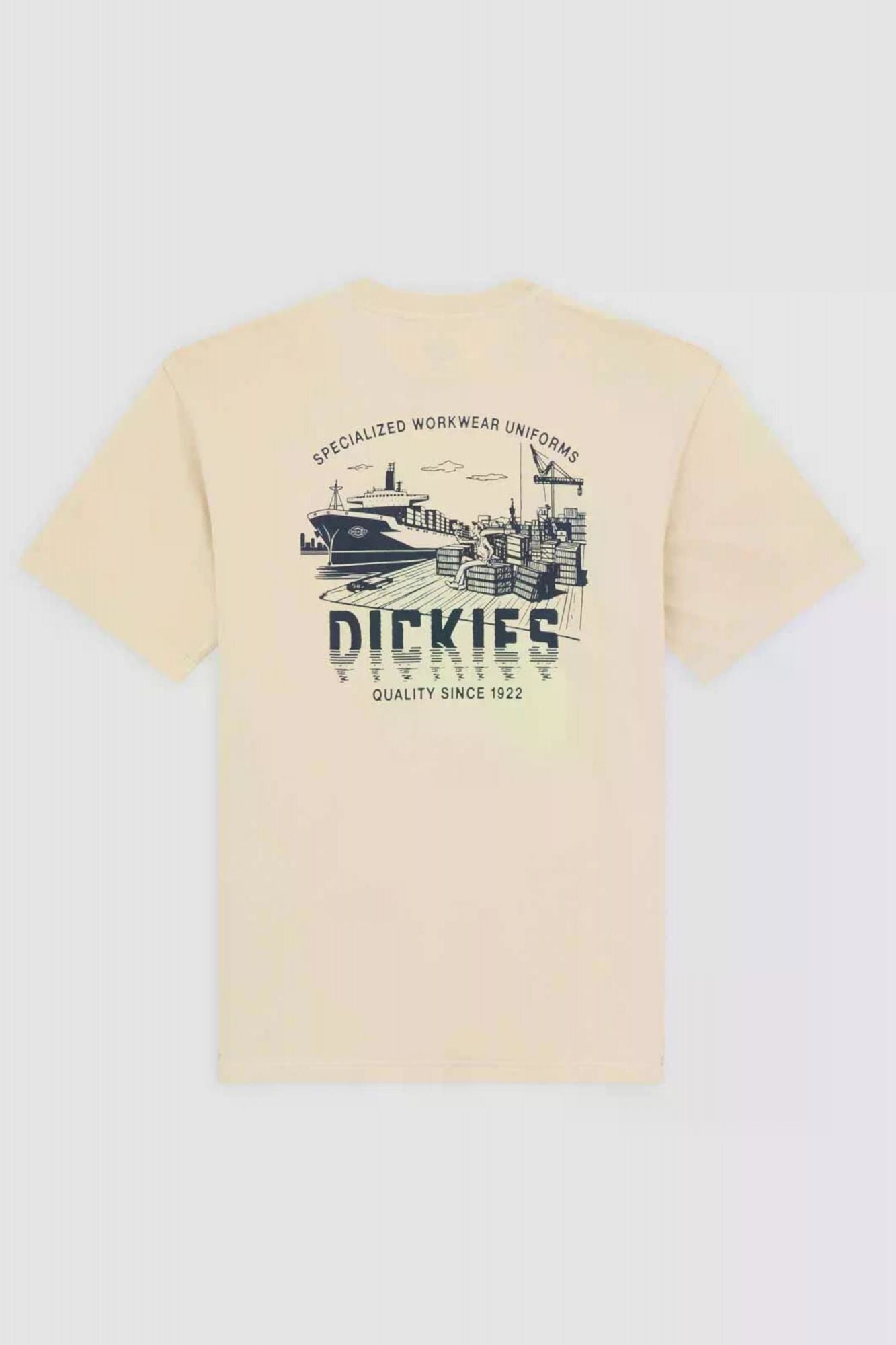 DICKIES PELHAM TEE en color BEIS (2)