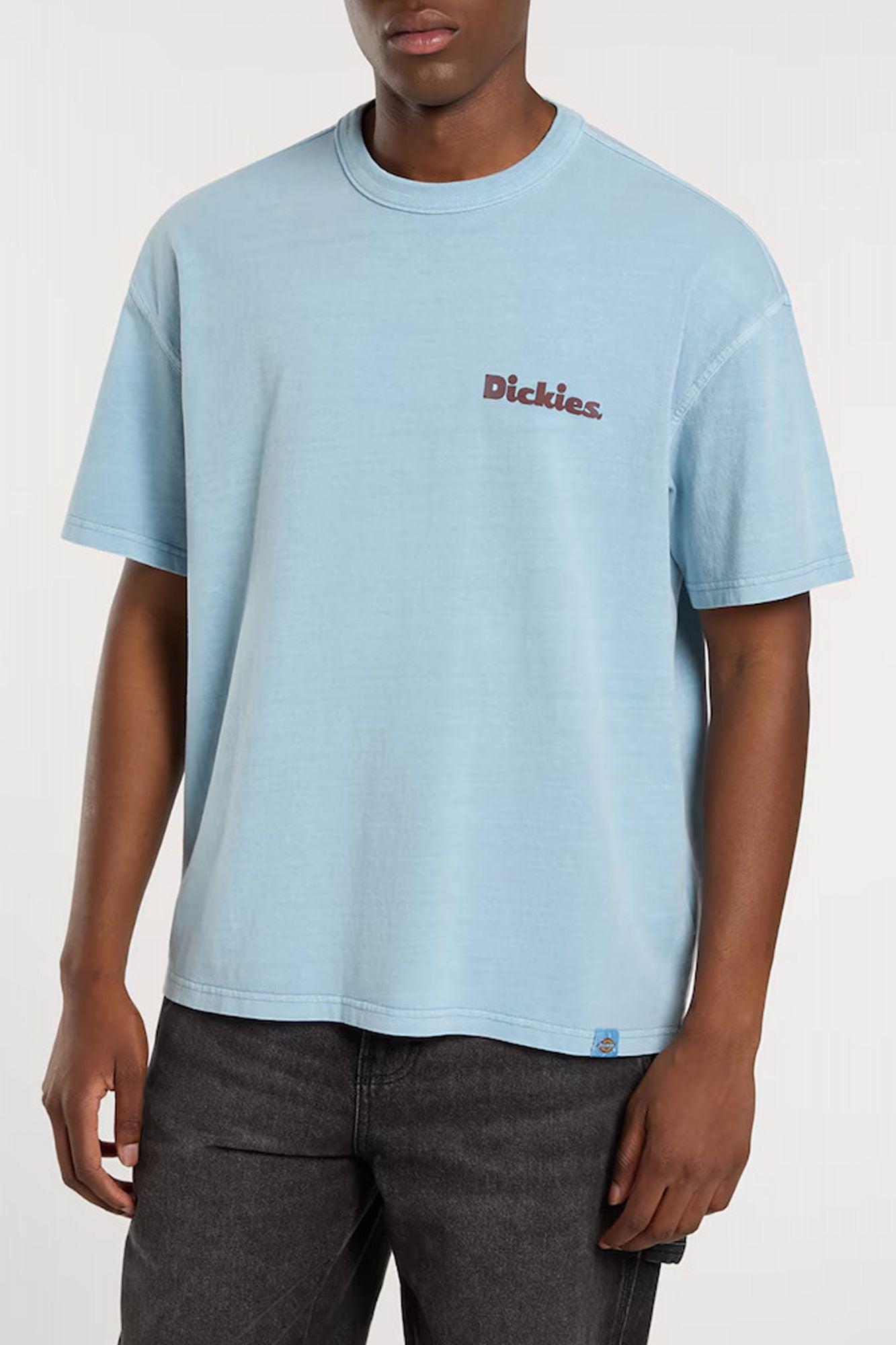 DICKIES SLAYDEN GD en color AZUL (1)
