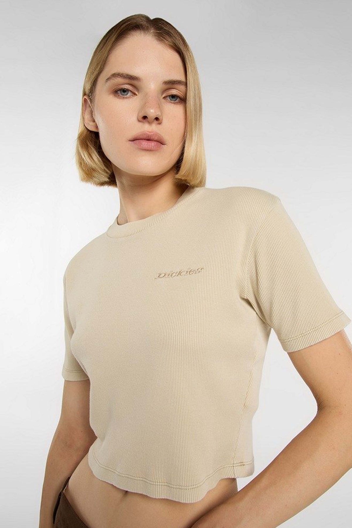 DICKIES PLENTYWOOD SS TEE en color MARRON CLARO (3)