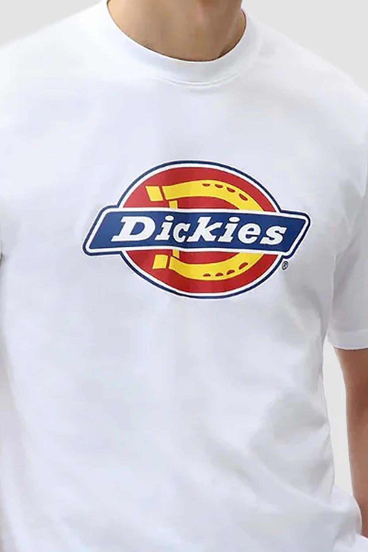 DICKIES DK0A88FG0WH1 en color BLANCO (3)