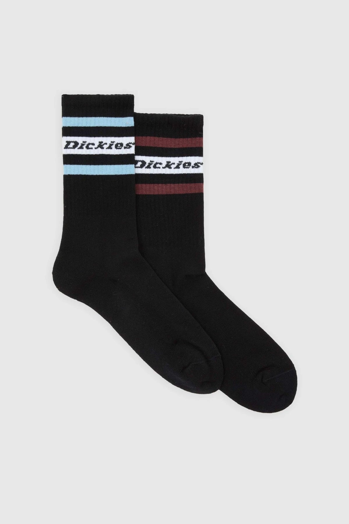 DICKIES DK0A4XDKL251  en color NEGRO (1)