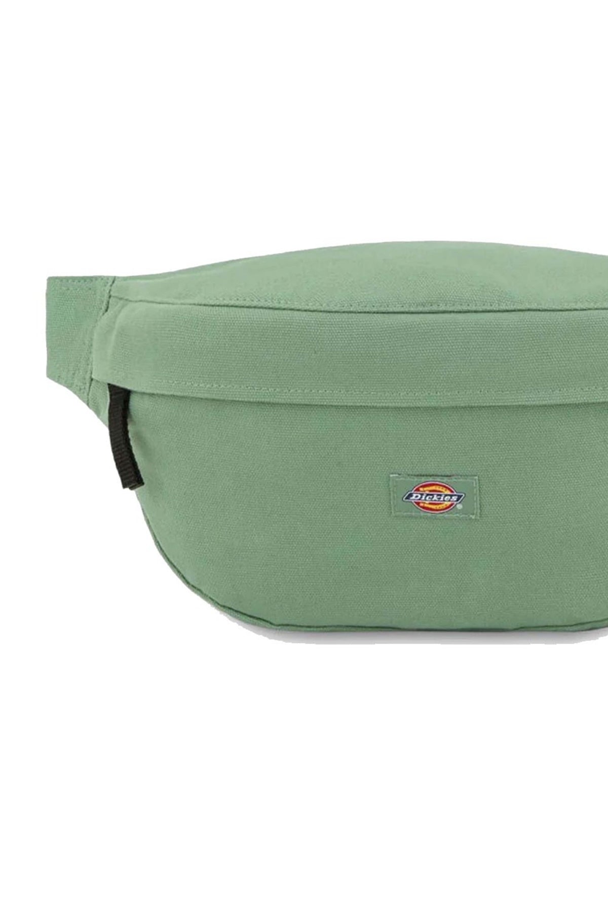 DICKIES DK0A4XOYL191 en color VERDE (3)