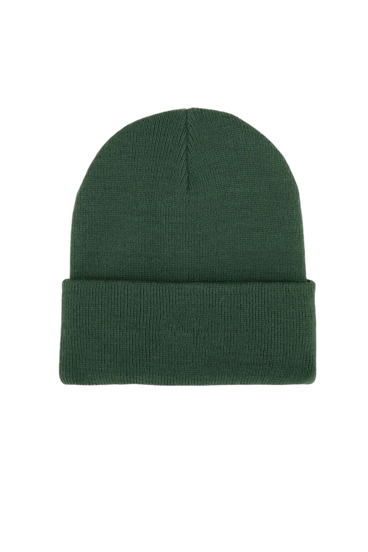 DICKIES DK0A4Z3RPIN1 en color VERDE (2)