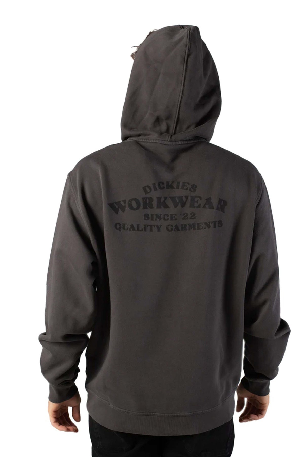 DICKIES DK0A87NQBLK1  en color GRIS (2)
