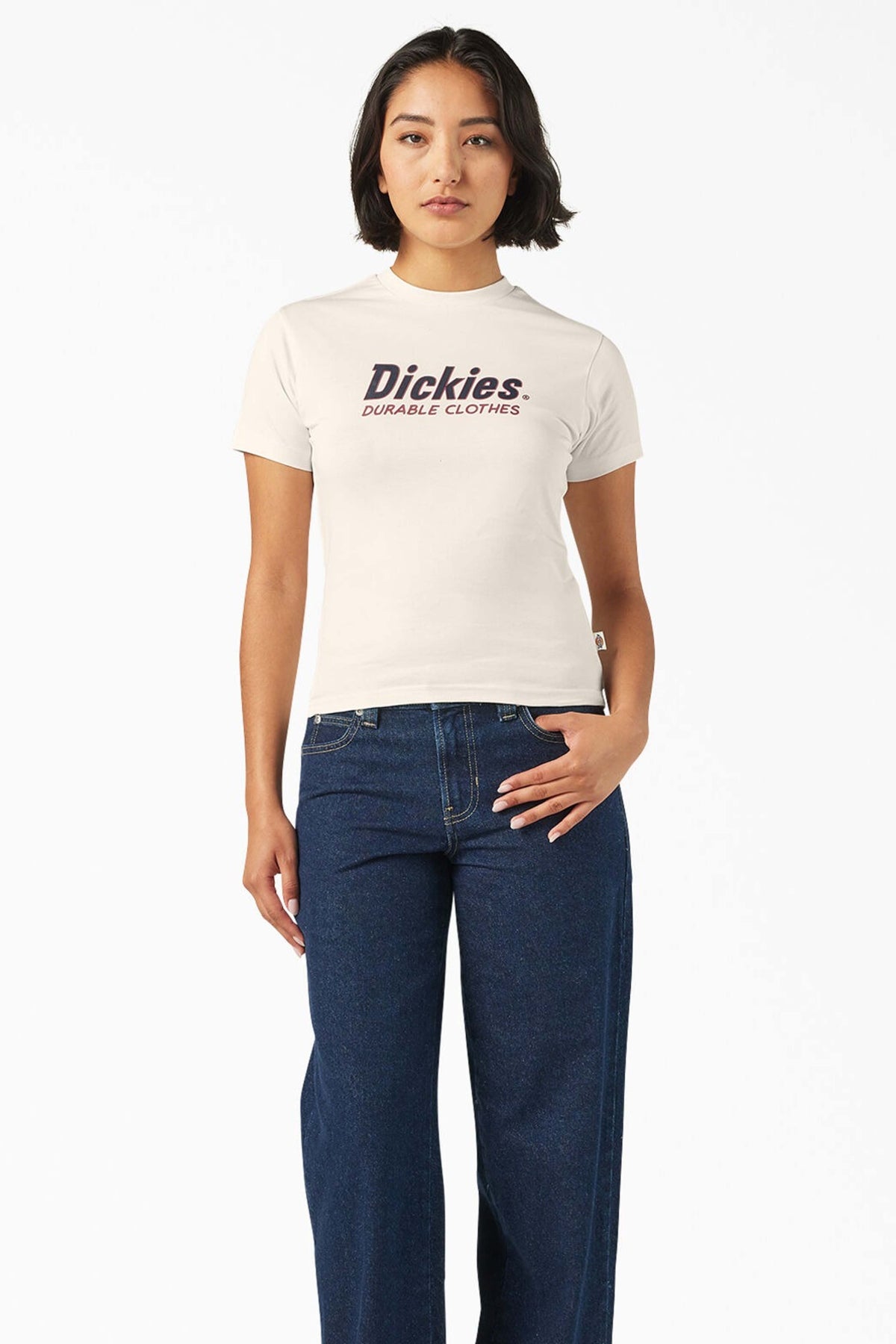 DICKIES 178177 en color BEIS (1)