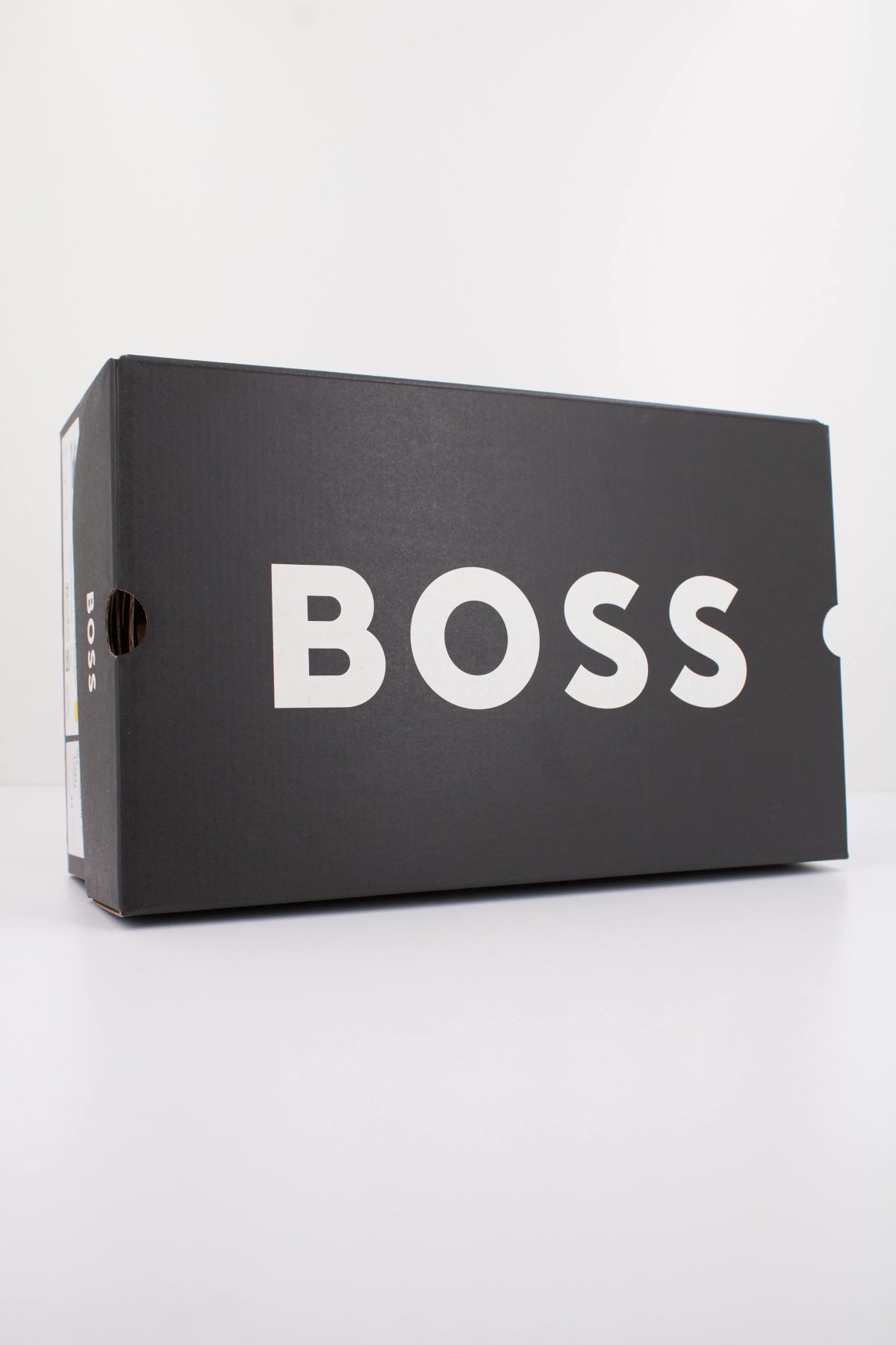 BOSS TITANIUM RUNN NYPUN en color BEIS (6)