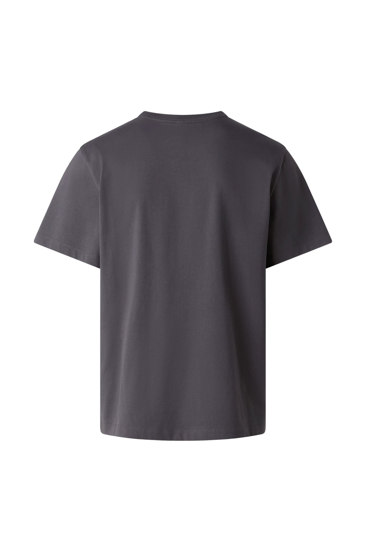THE NORTH FACE NF0A8GQERHI1 en color GRIS (2)