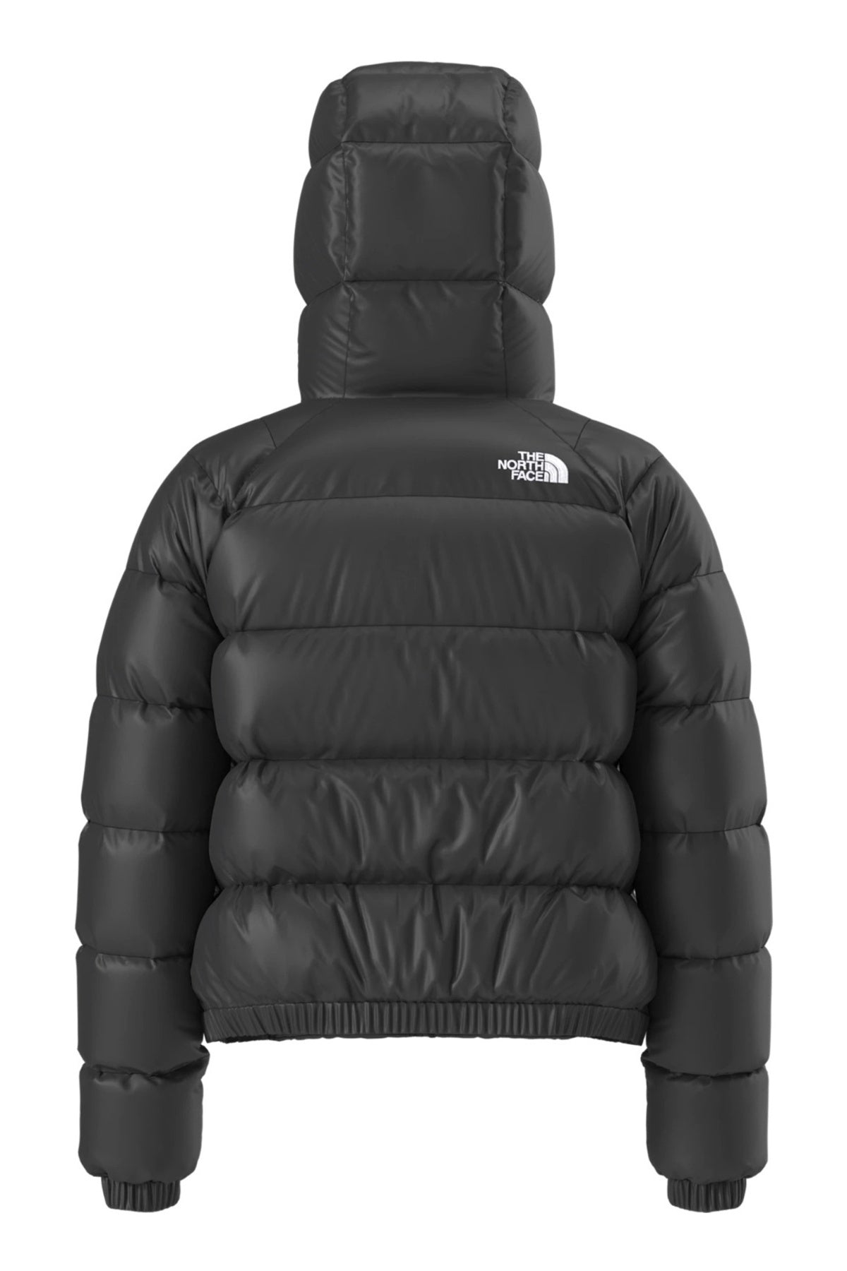 THE NORTH FACE W HYDRN DWN HOODIE en color  (2)