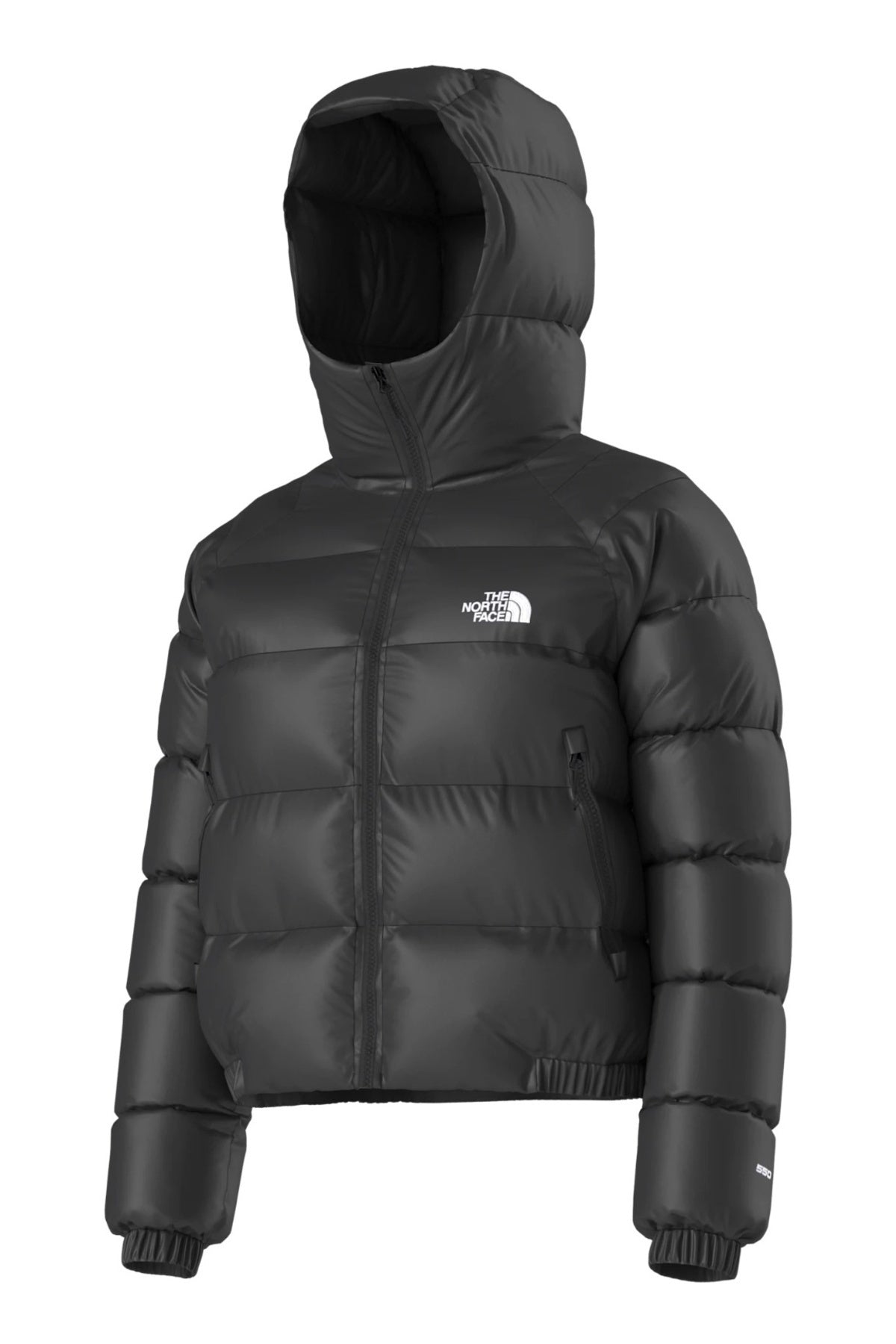 THE NORTH FACE W HYDRN DWN HOODIE en color  (3)
