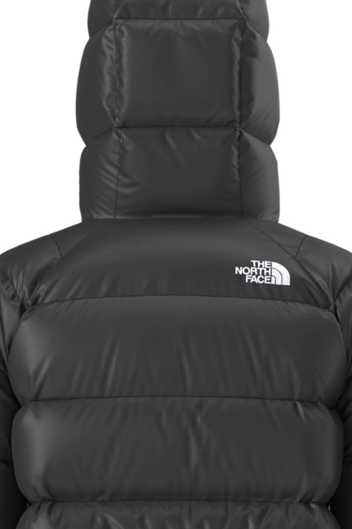 THE NORTH FACE W HYDRN DWN HOODIE en color  (5)