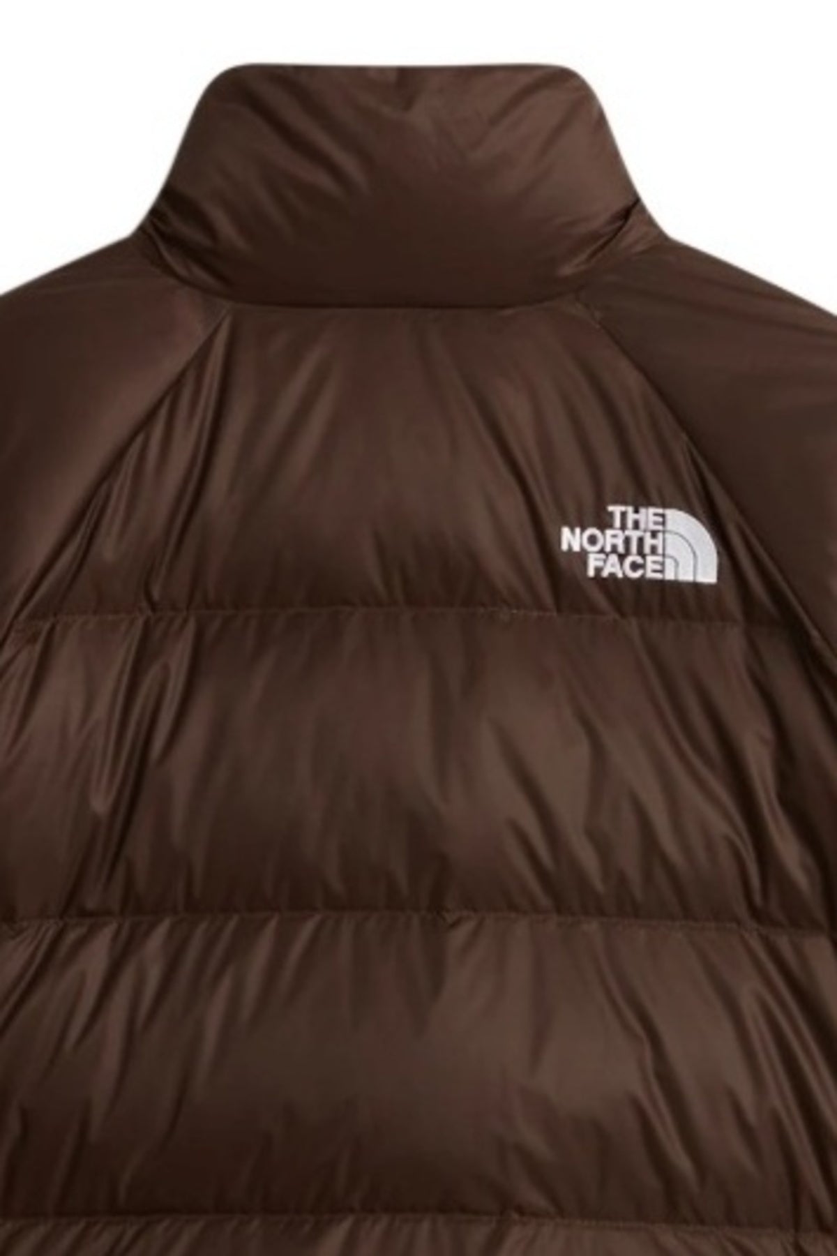 THE NORTH FACE HYDRENALITE DOWN JACKET NF0A88Z1 en color MARRON (4)