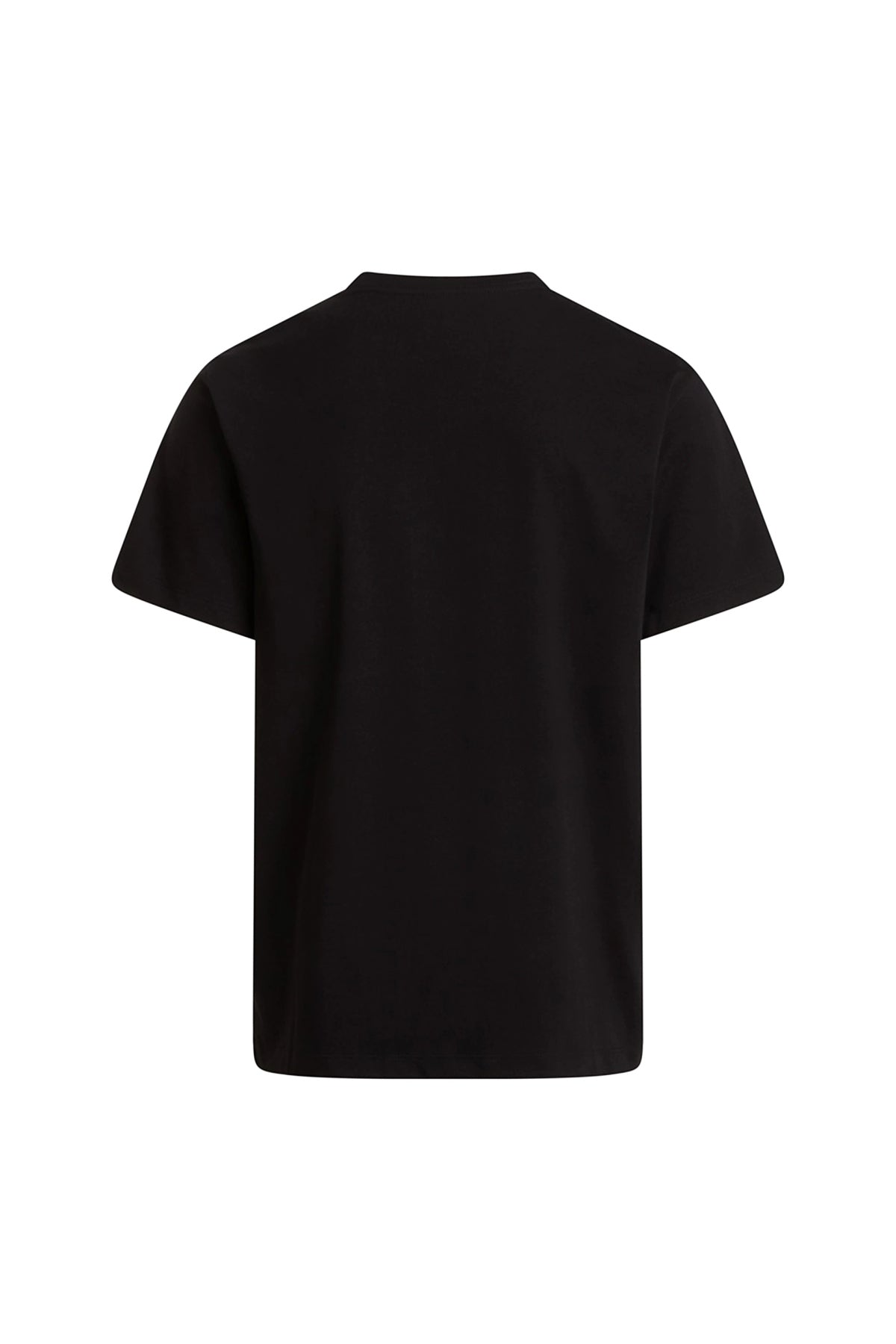 THE NORTH FACE M EVO SD REG SS TEE en color NEGRO (2)