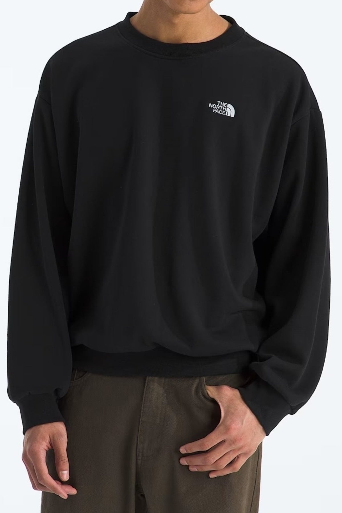 THE NORTH FACE M EVO SD REG CREW en color  (2)