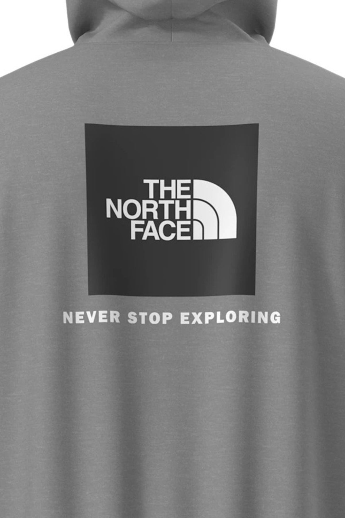 THE NORTH FACE M EVO BOX NSE REG HD en color  (3)