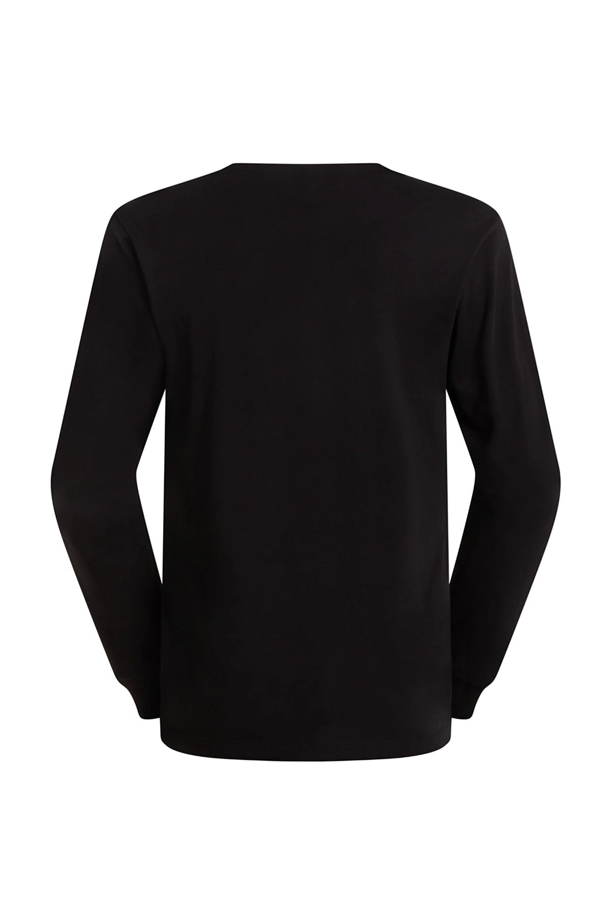 THE NORTH FACE M EVO SD REG LS TEE en color  (2)