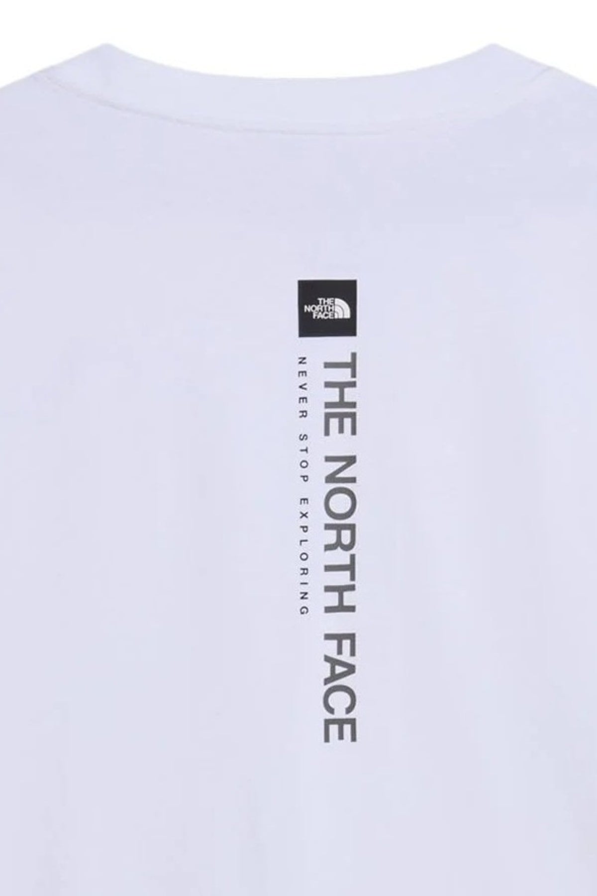 THE NORTH FACE M VERTICAL REG SS TEE en color  (3)