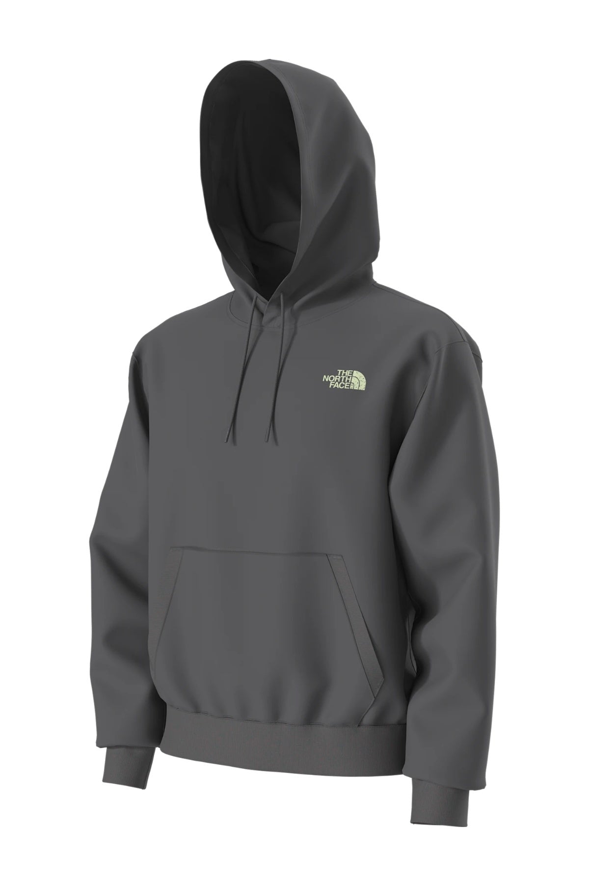 THE NORTH FACE U HOODIE RELAXED - SKI en color GRIS (3)