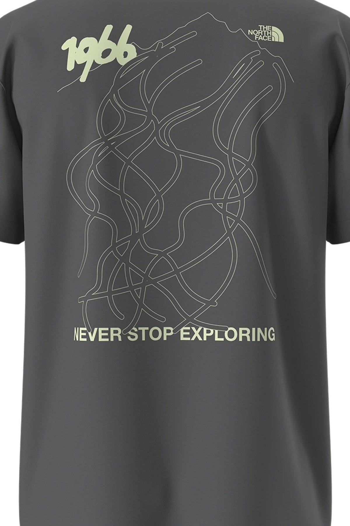 THE NORTH FACE U NSE SLOPES RLX SS TEE en color GRIS (5)