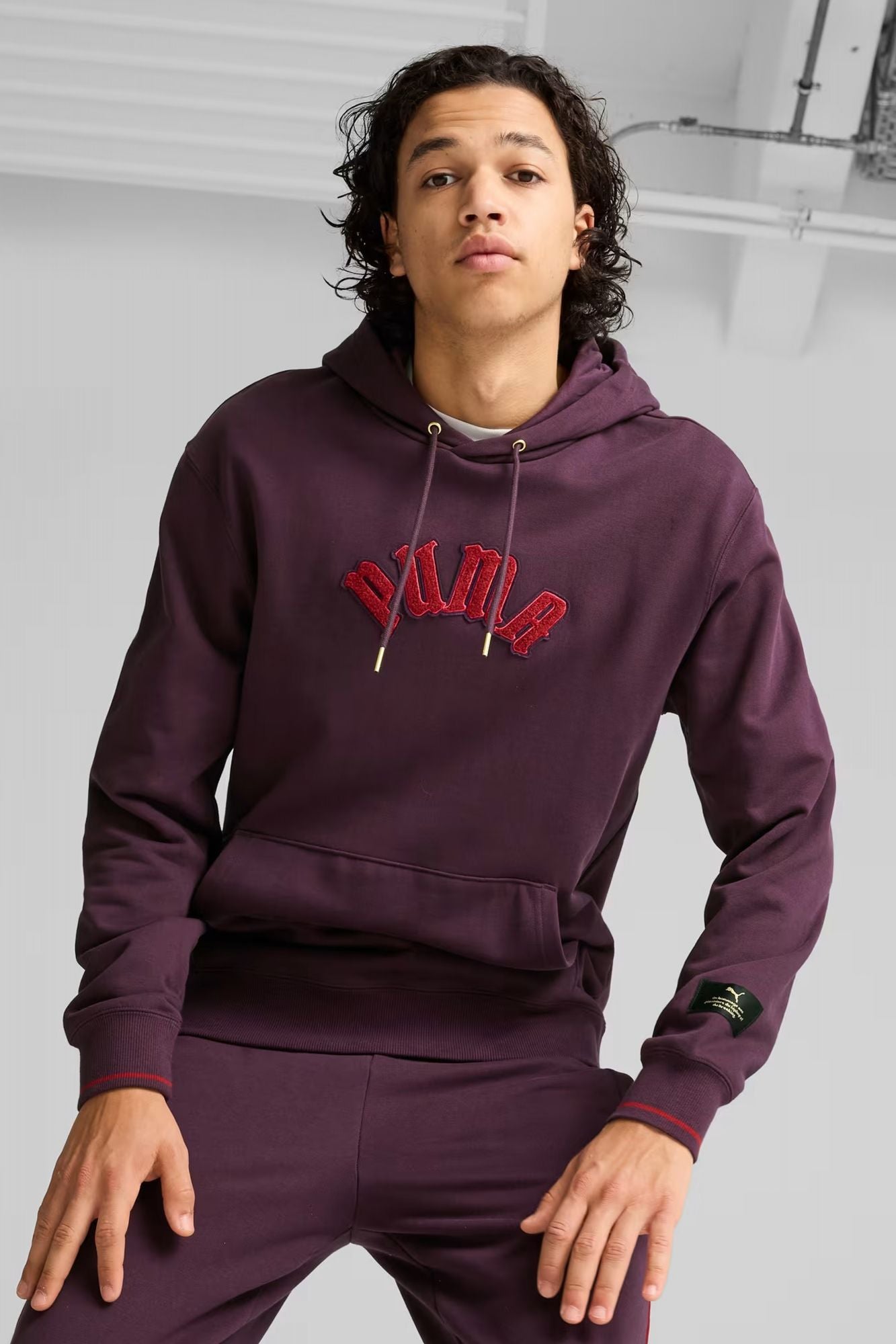 PUMA CLASSICS PLAY PARIS HOODIE en color VIOLETA (1)