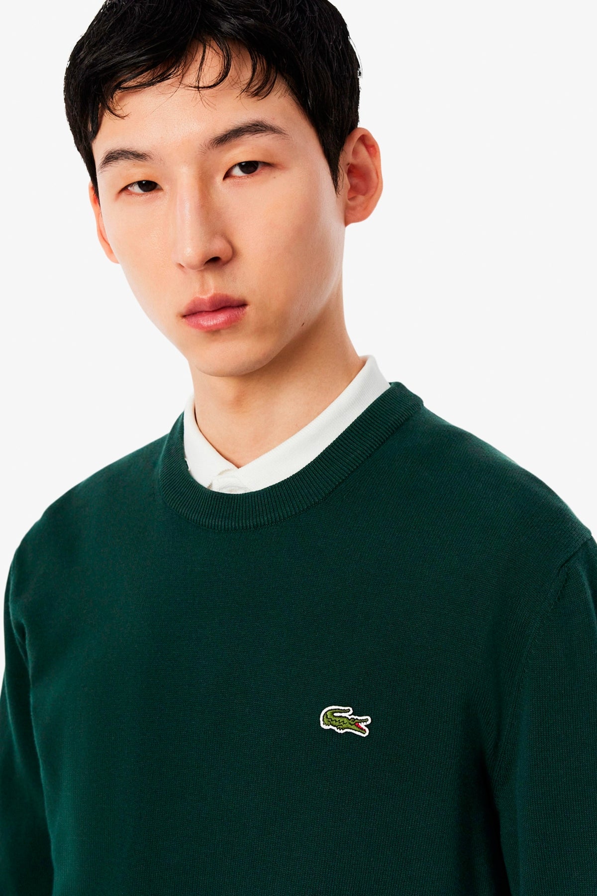 LACOSTE CREWNECKS SWEATERS en color VERDE (6)