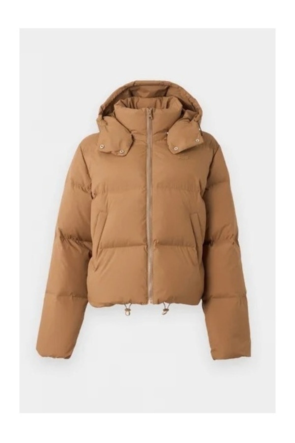 LACOSTE PUFFER JACKETS en color  (1)