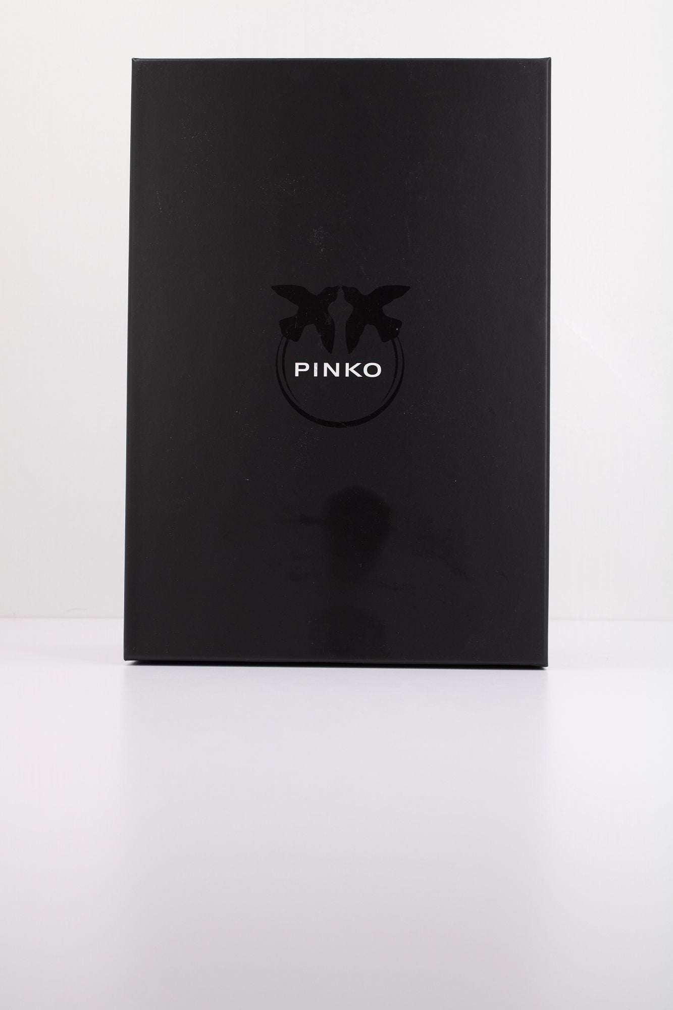 PINKO SS0055 E021 en color PLATA (6)