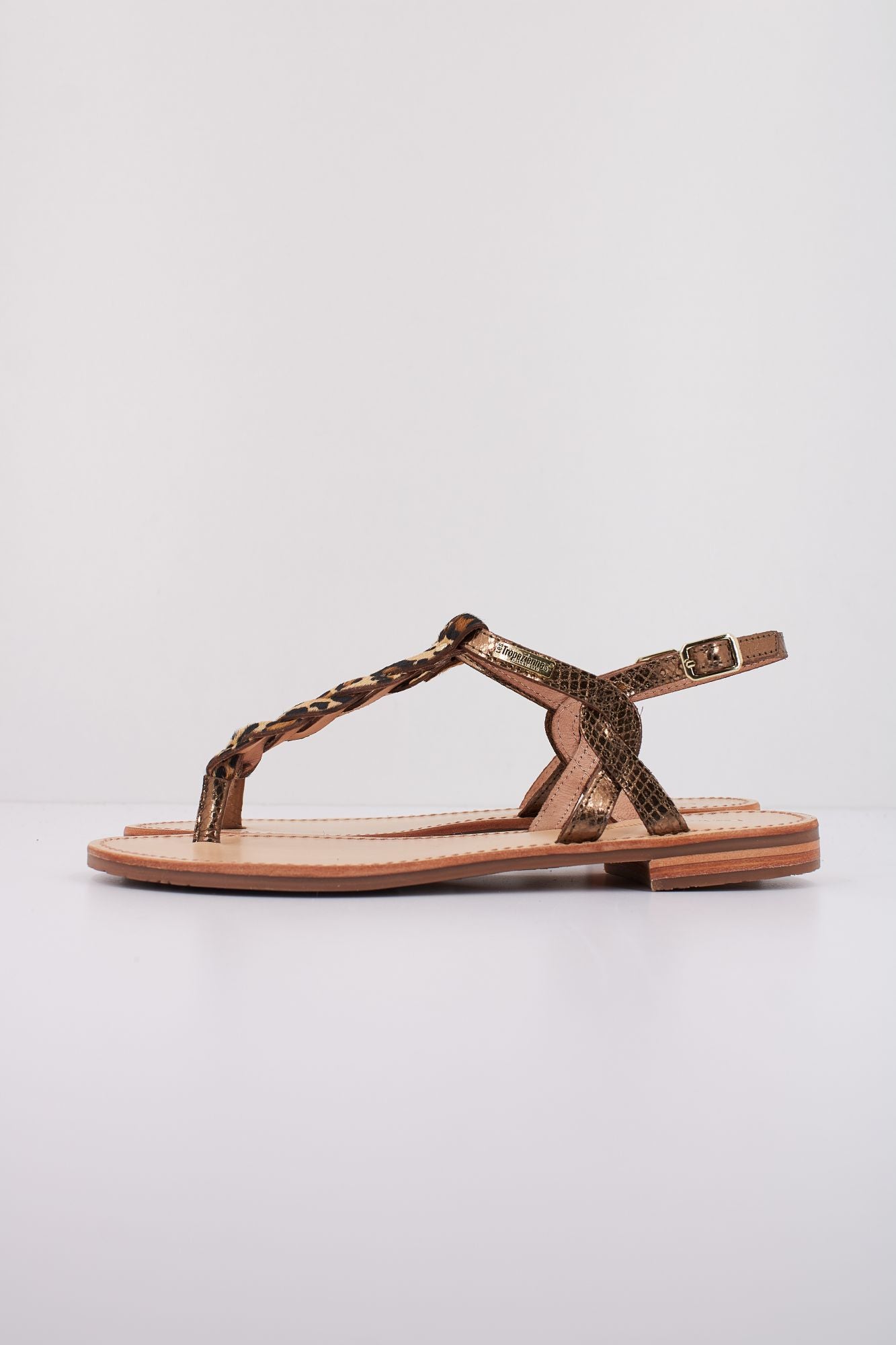 LES TROPEZIENNES C330777HAMSONGP  en color ANIMAL PRINT (1)