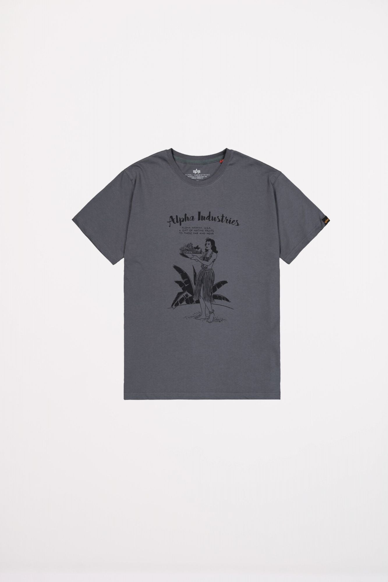 ALPHA INDUSTRIES HAWAII T en color GRIS (2)