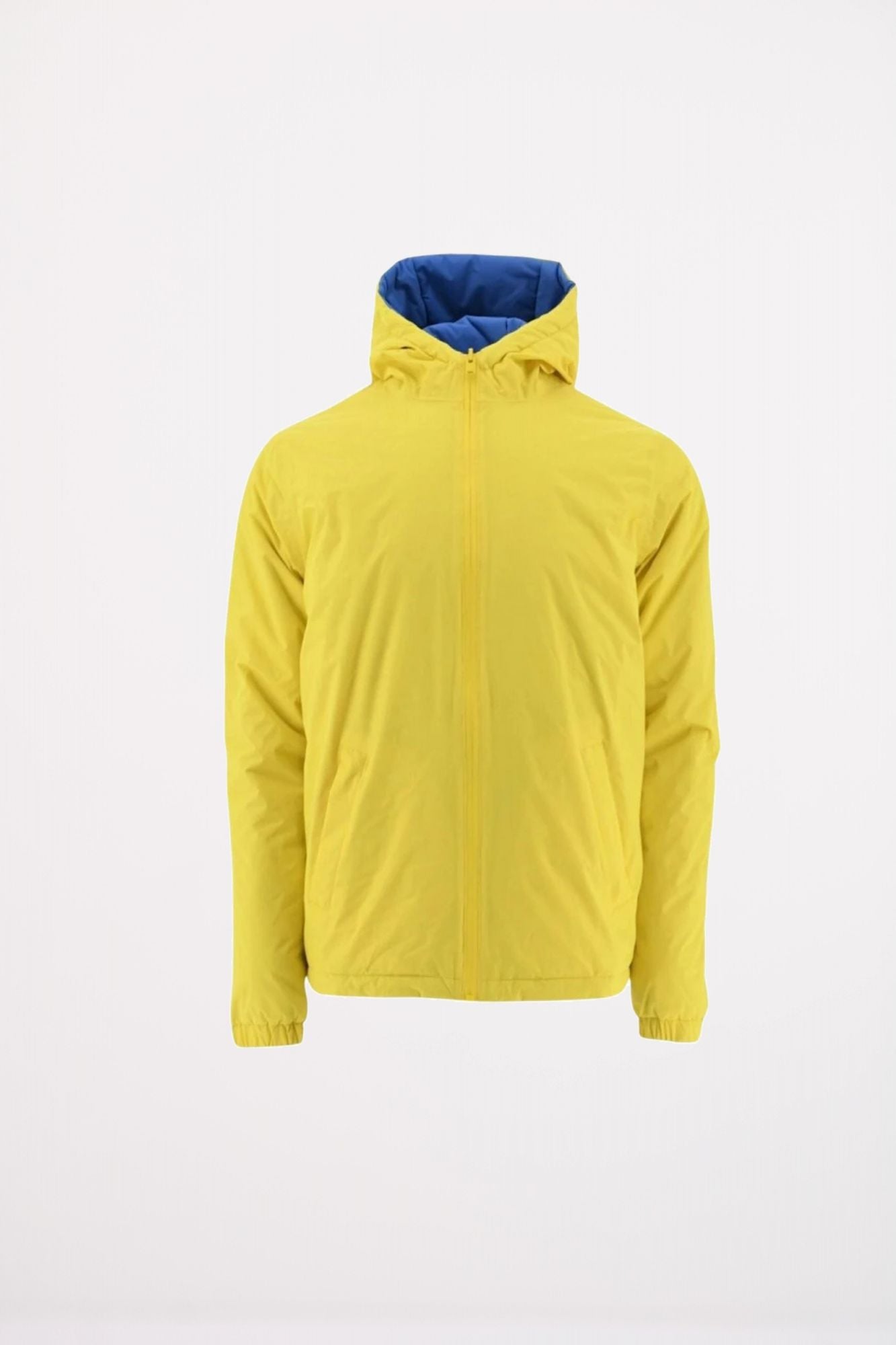 JOTT VIGO en color AMARILLO (1)