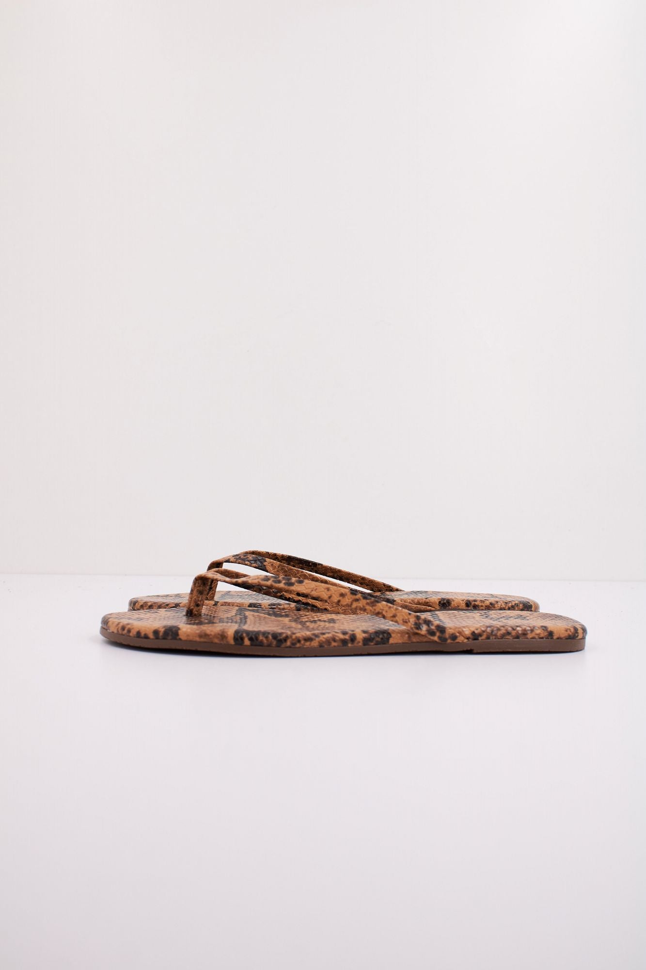 TKEES TKESTUDIO en color ANIMAL PRINT (1)