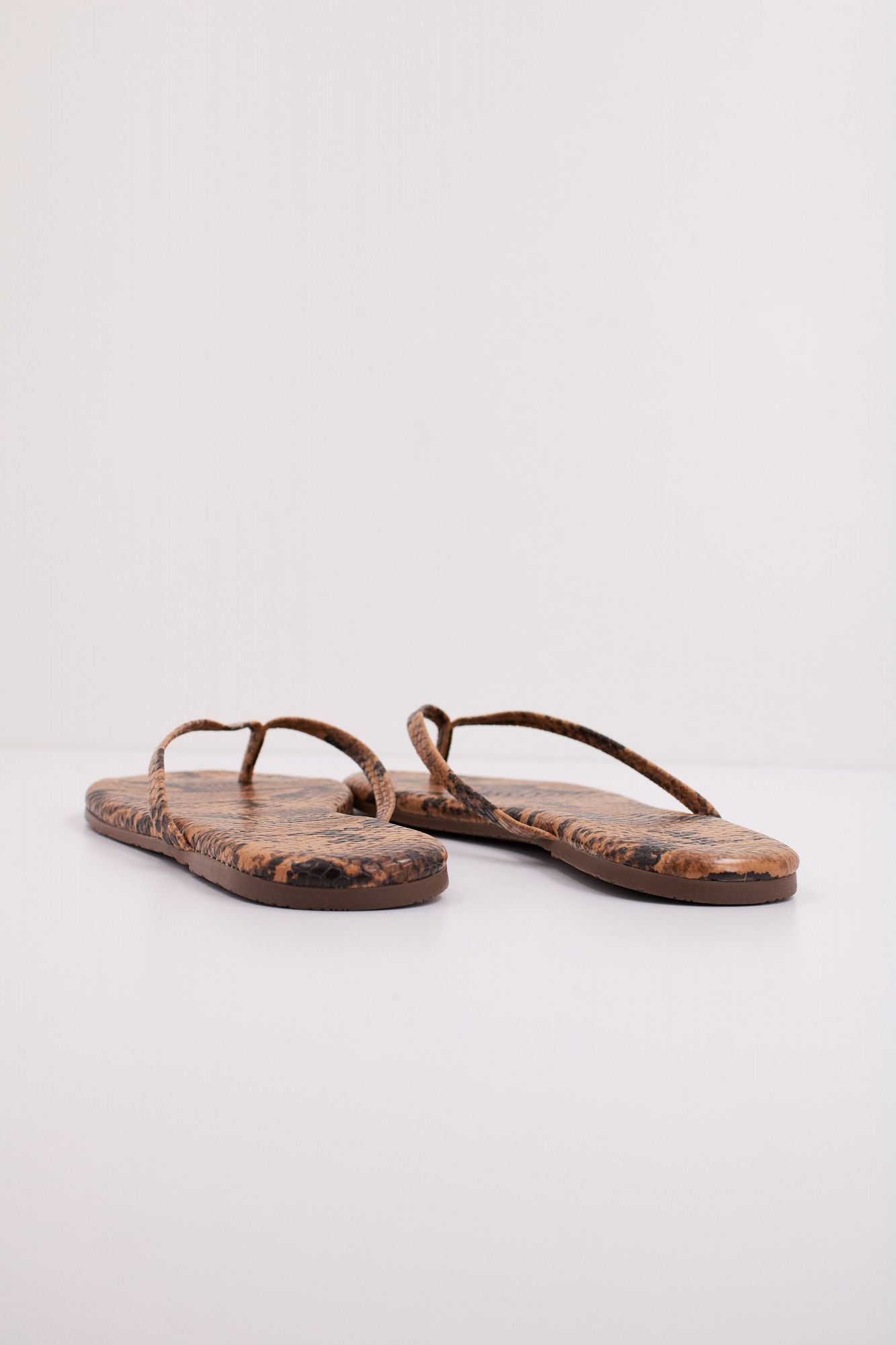 TKEES TKESTUDIO en color ANIMAL PRINT (4)