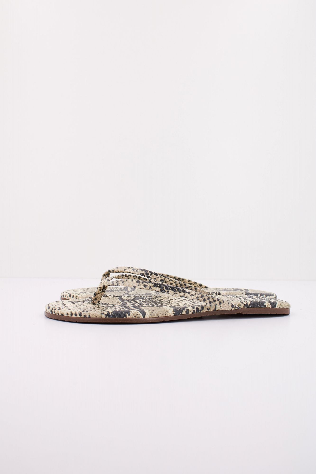 TKEES TKESTUDIO en color ANIMAL PRINT (1)