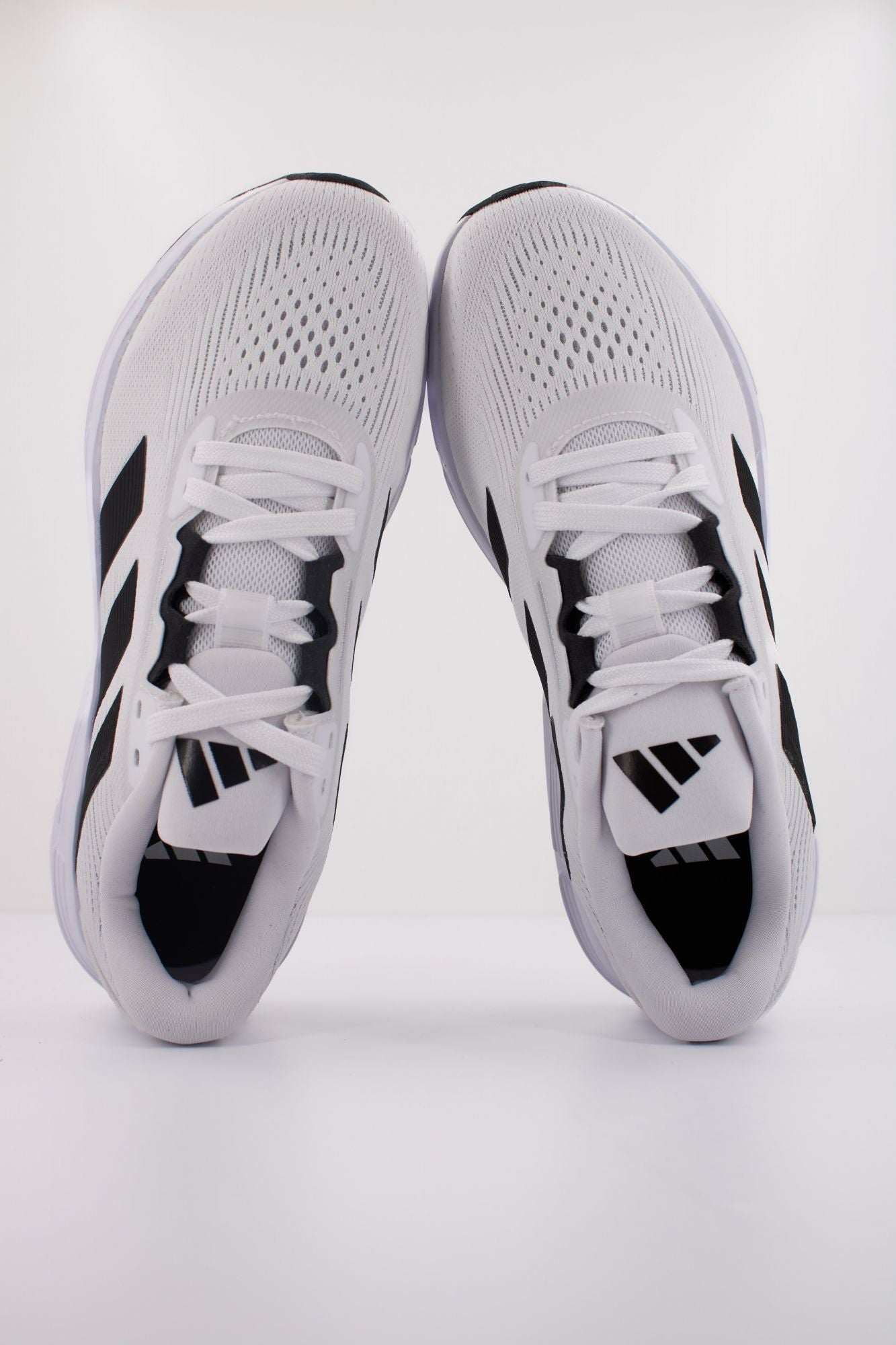 ADIDAS QUESTAR 3 M en color BLANCO (3)