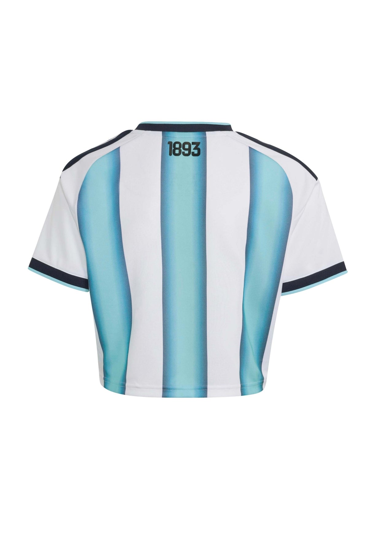 ADIDAS Camiseta Argentina 26 en color BLANCO (2)