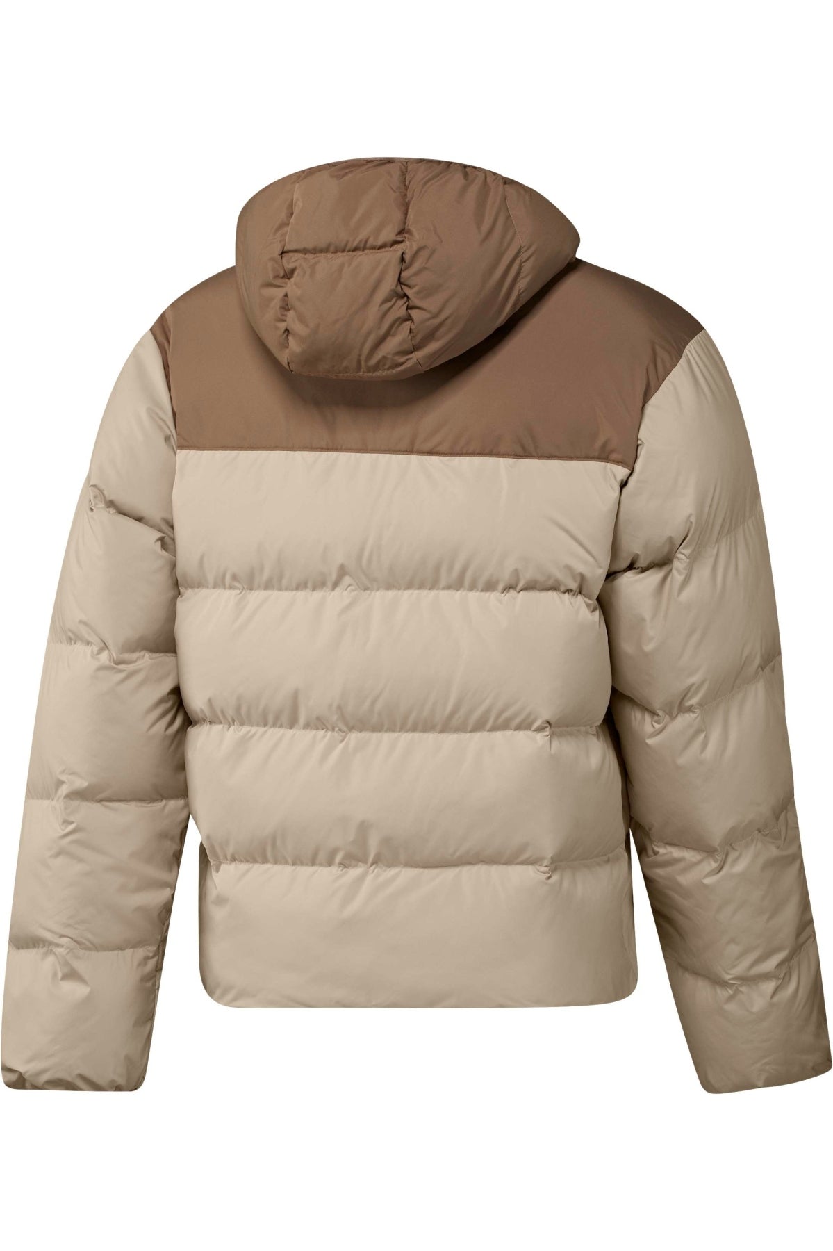 ADIDAS ORIGINALS REGEN JKT en color BEIS (2)