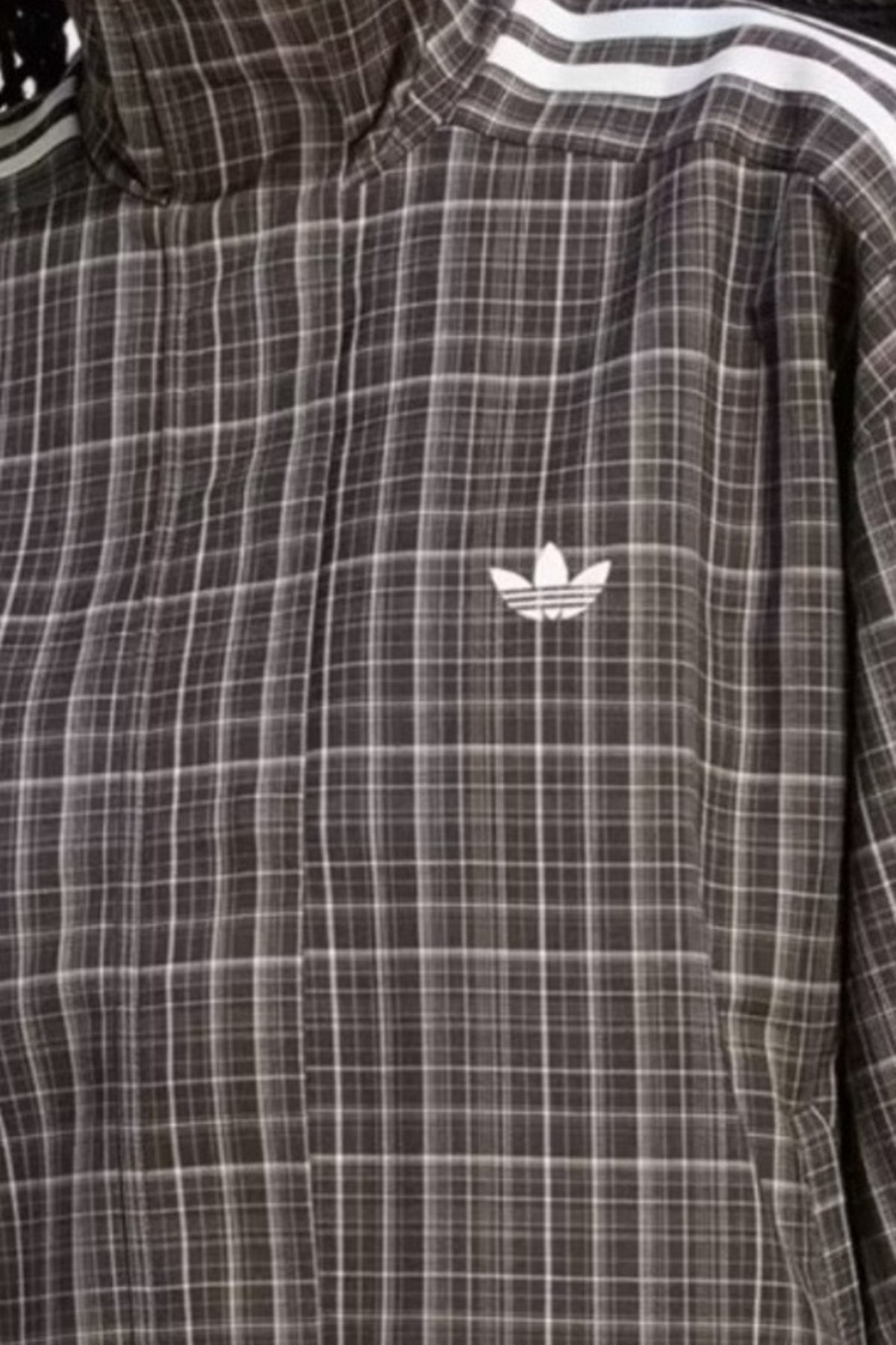 ADIDAS ORIGINALS 182662 en color  (3)