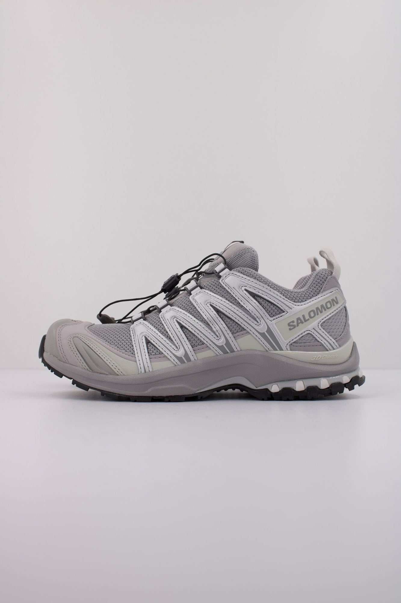 SALOMON XA PRO 3D en color PLATA (1)