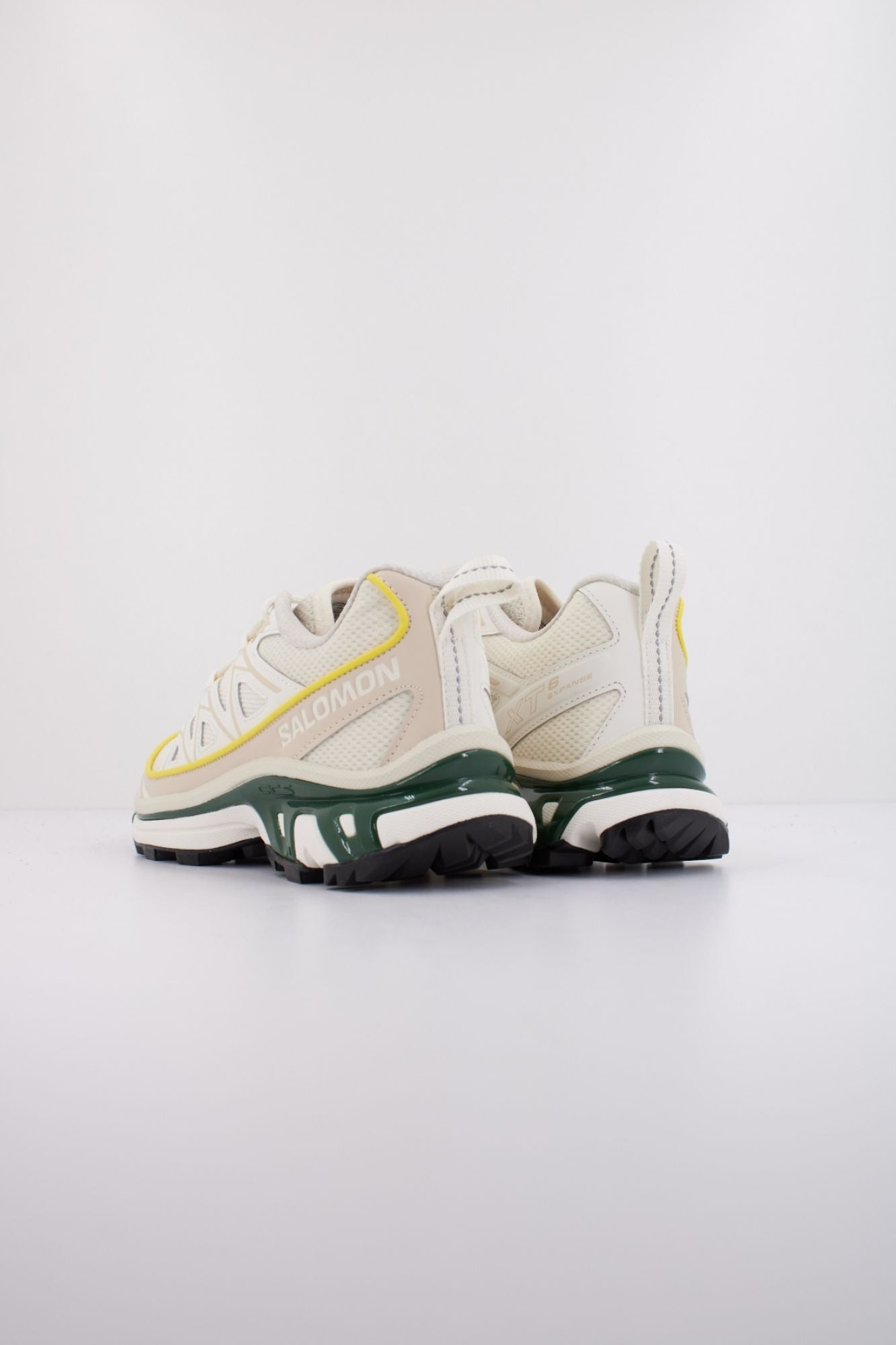 SALOMON XT 6 EXPANSE en color BEIS (4)