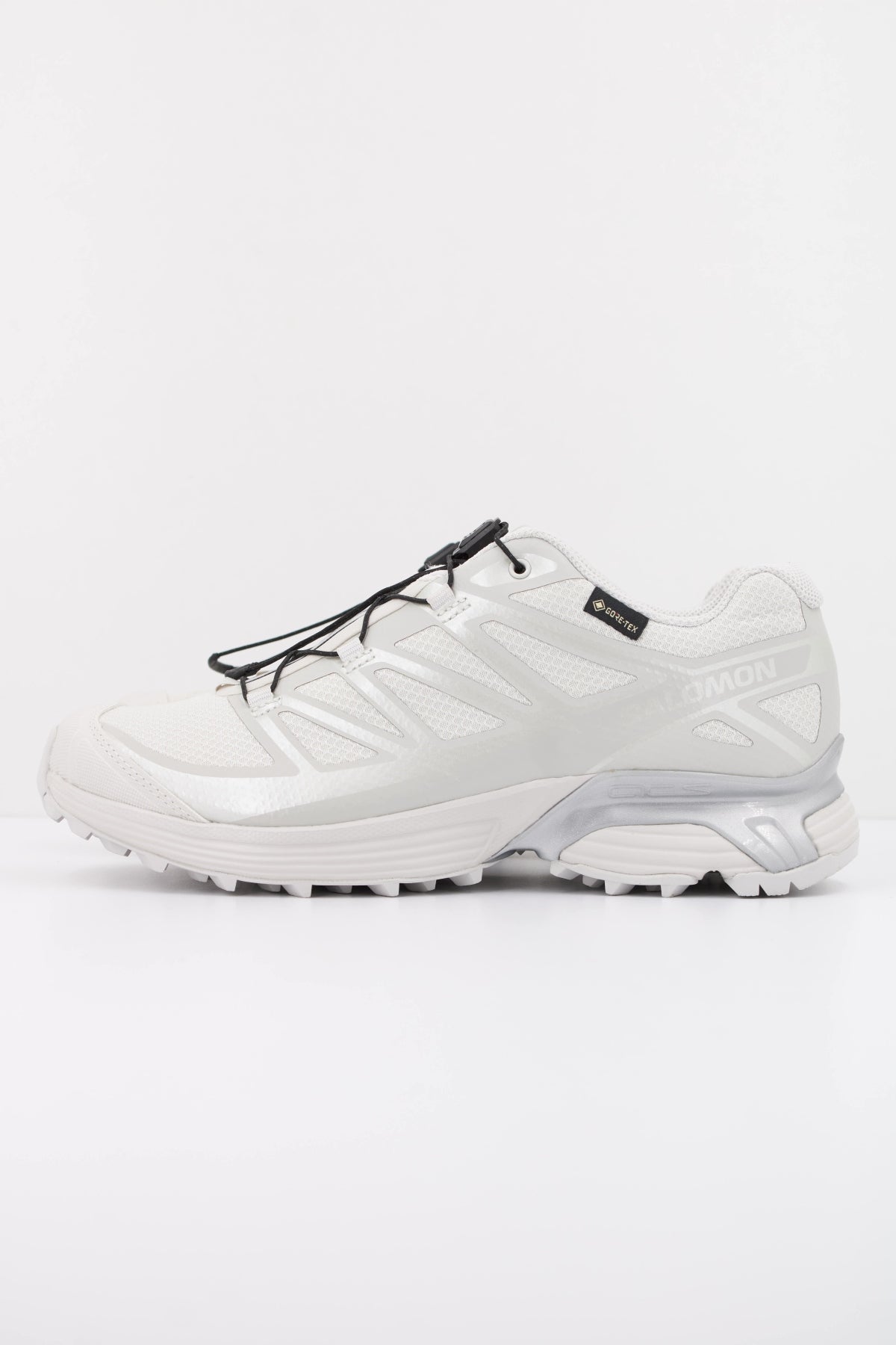 SALOMON XT PATHWAY GTX en color GRIS (1)