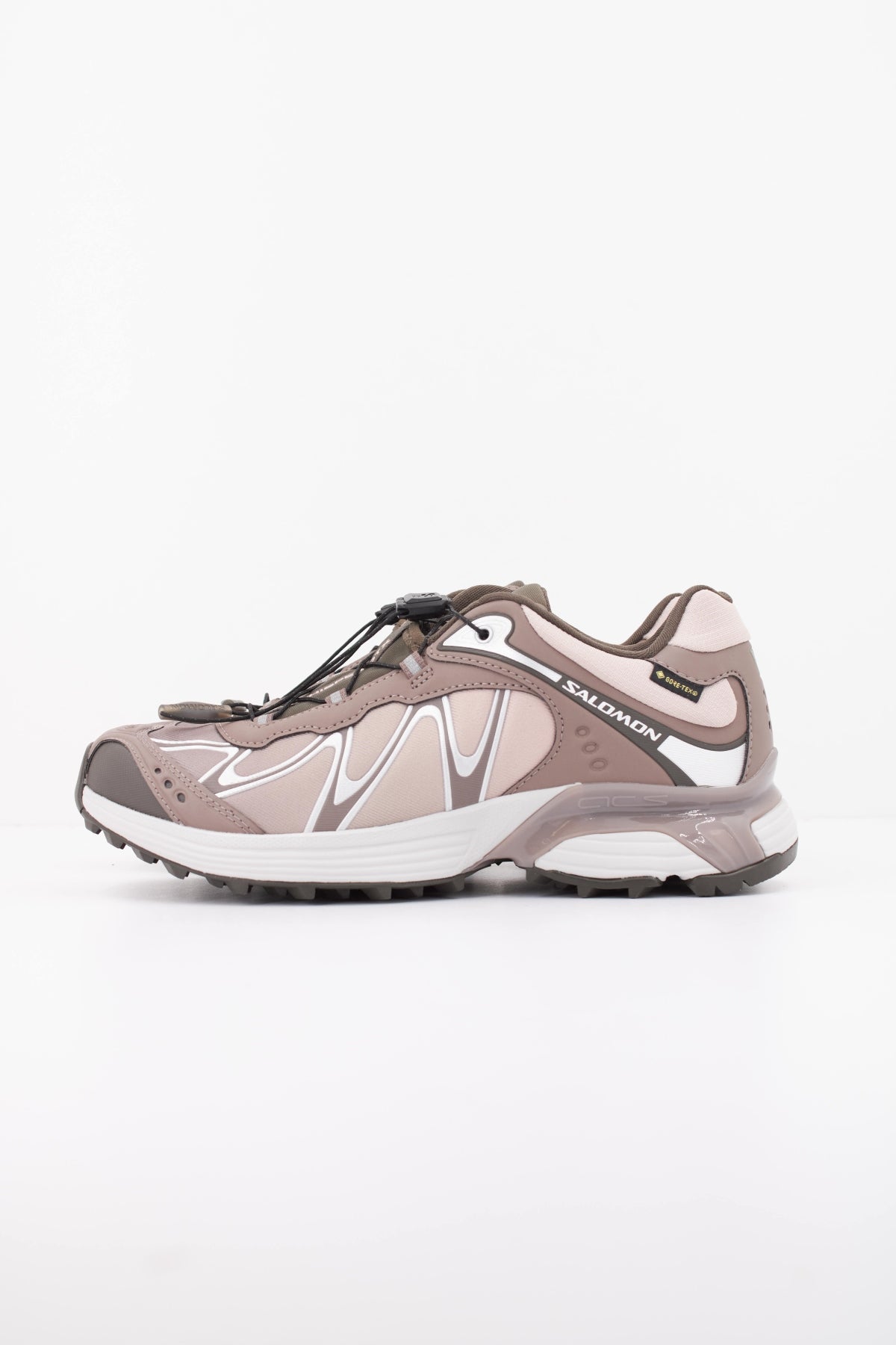SALOMON  XT WHISPER Gore-Tex en color MARRON (1)