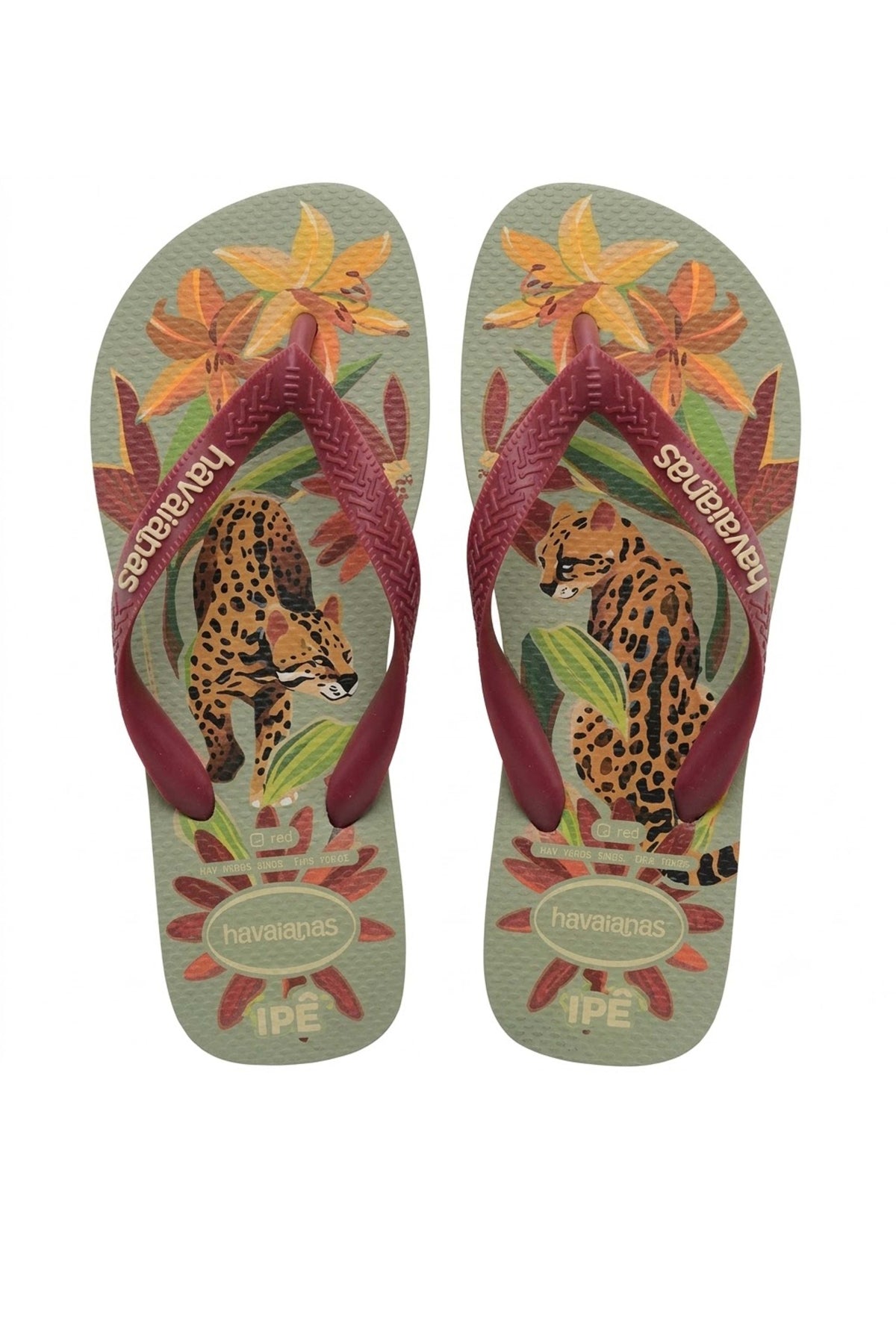 HAVAIANAS HAV. IPE SS26 en color ROJO (1)