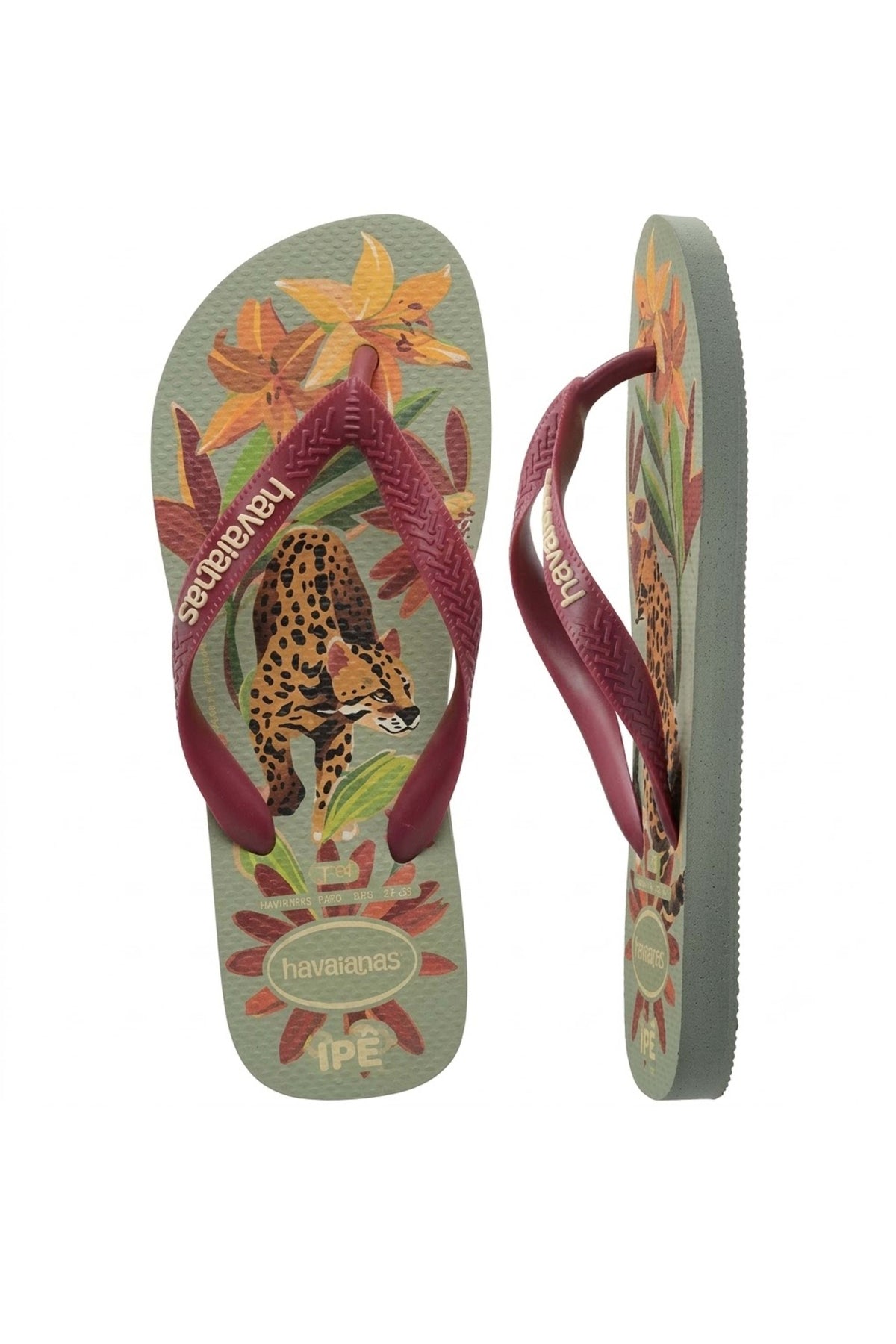 HAVAIANAS HAV. IPE SS26 en color ROJO (3)
