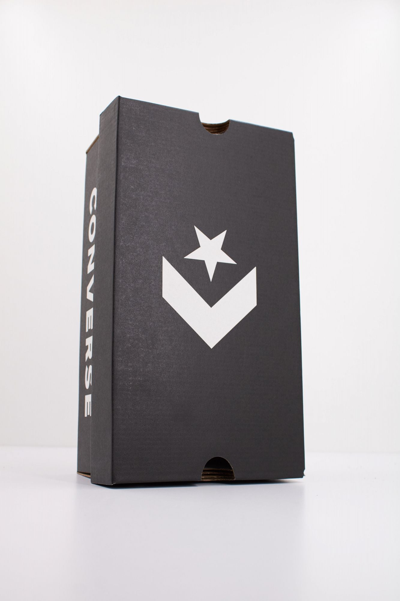 CONVERSE CHUCK TAYLOR ALL STAR LEOPARD en color ANIMAL PRINT (6)