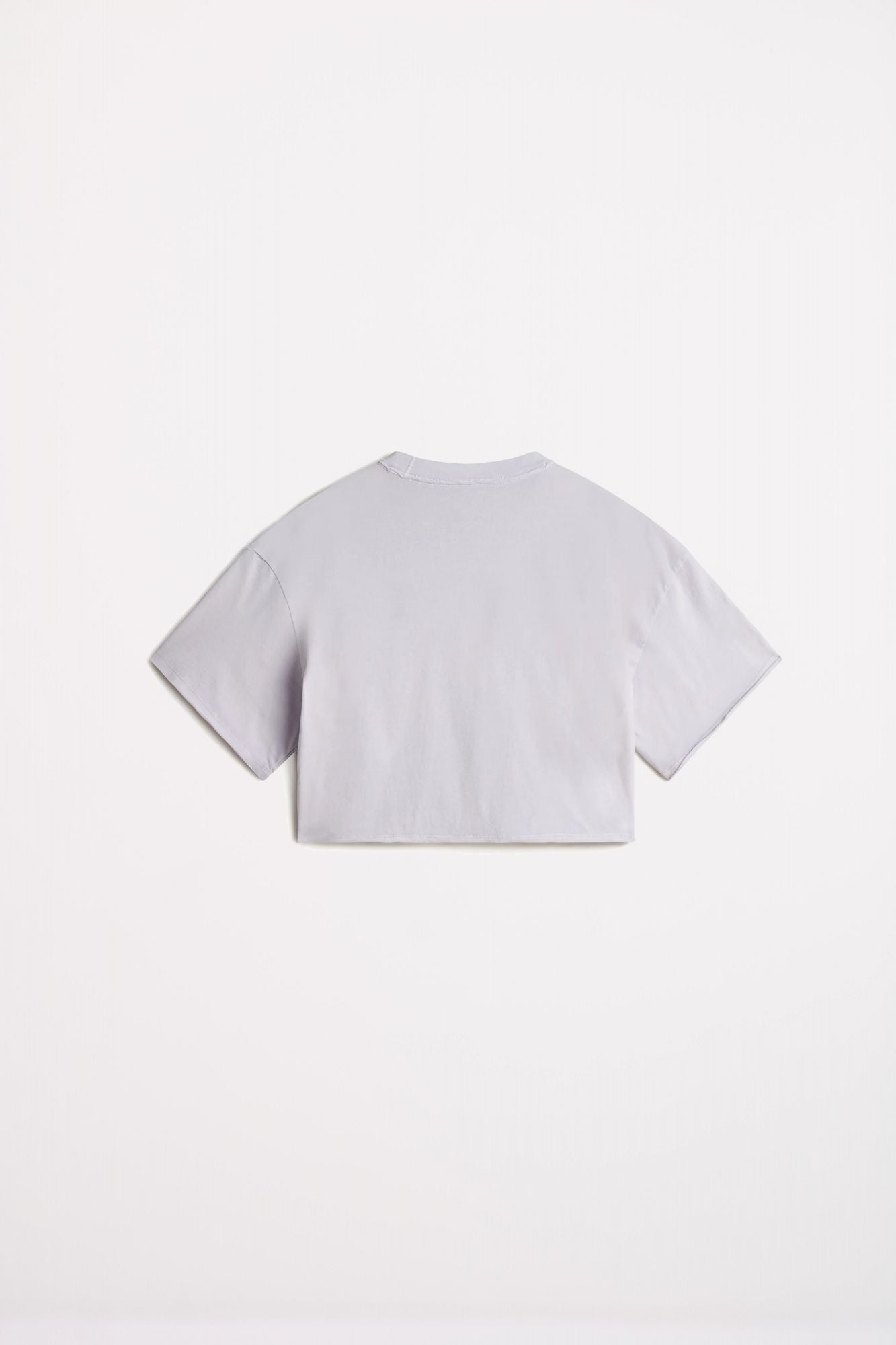 VANS RELAXED CROP WASH SS T en color GRIS (3)