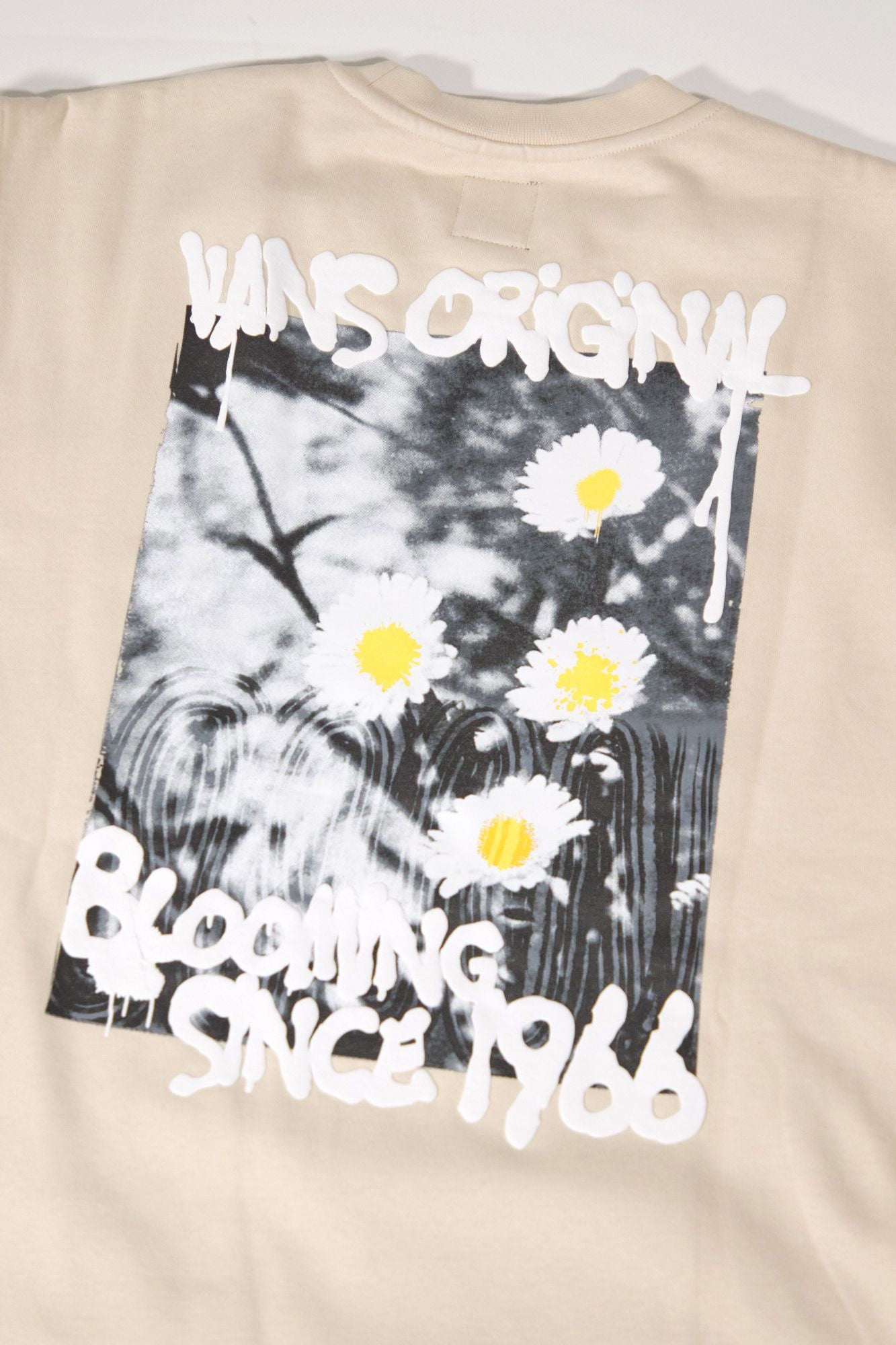 VANS FLOWER SPRAY LOOSE CRE en color BEIS (4)