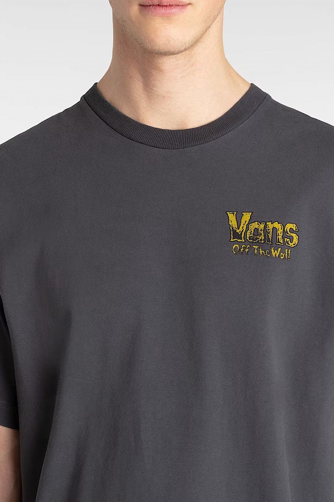 VANS LEGACY LOOSE SS en color GRIS (4)
