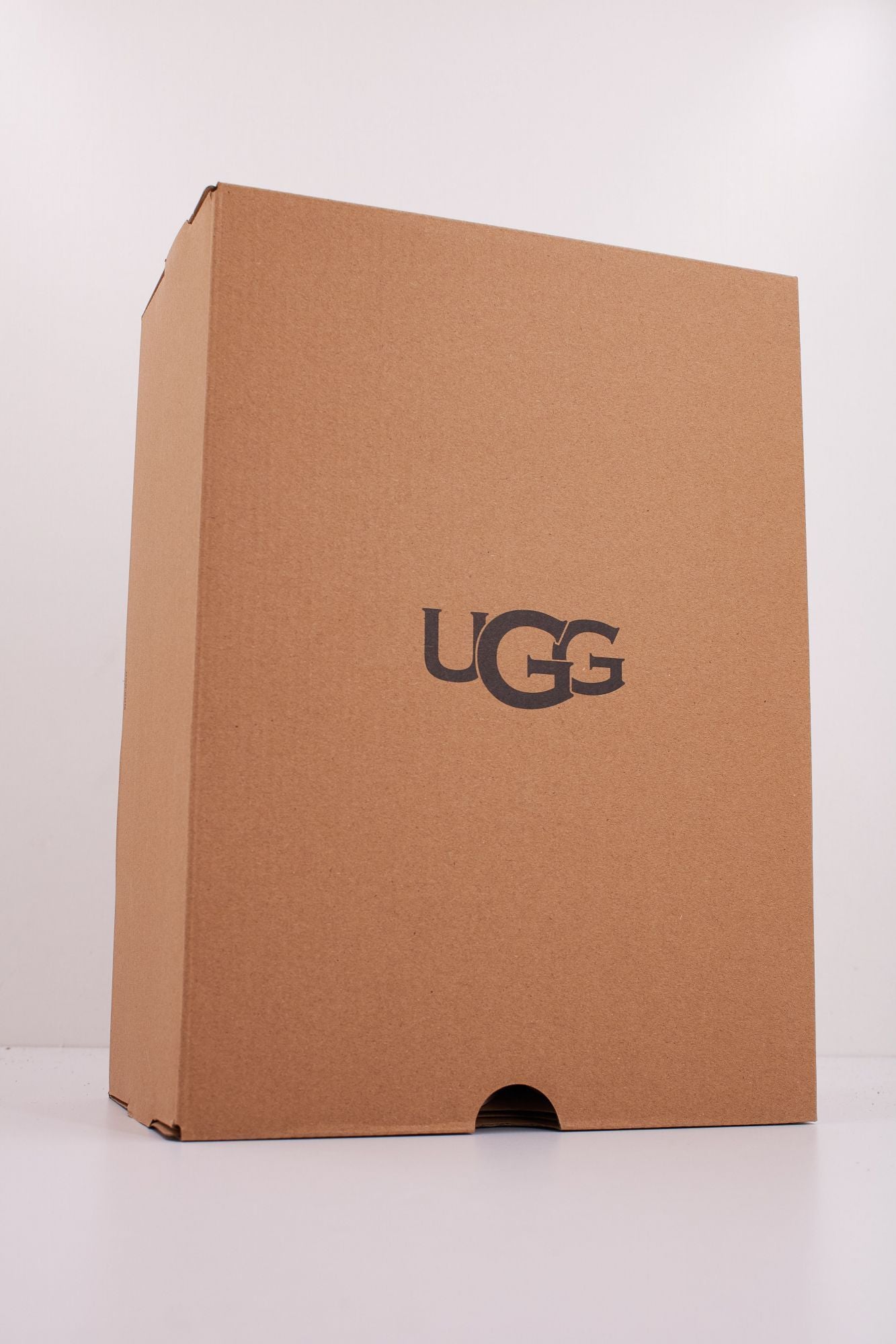 UGG W VENURE DAZE en color BEIS (6)
