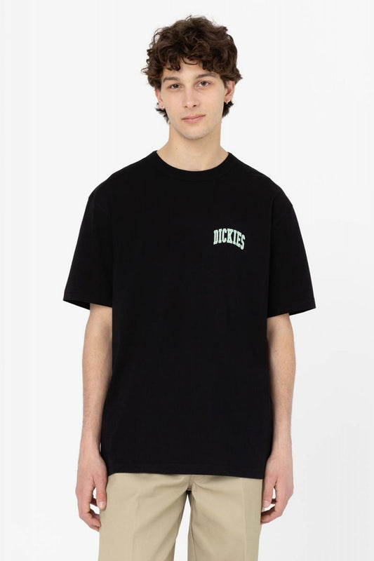 DICKIES AITKIN CHEST TEE SS en color NEGRO (1)